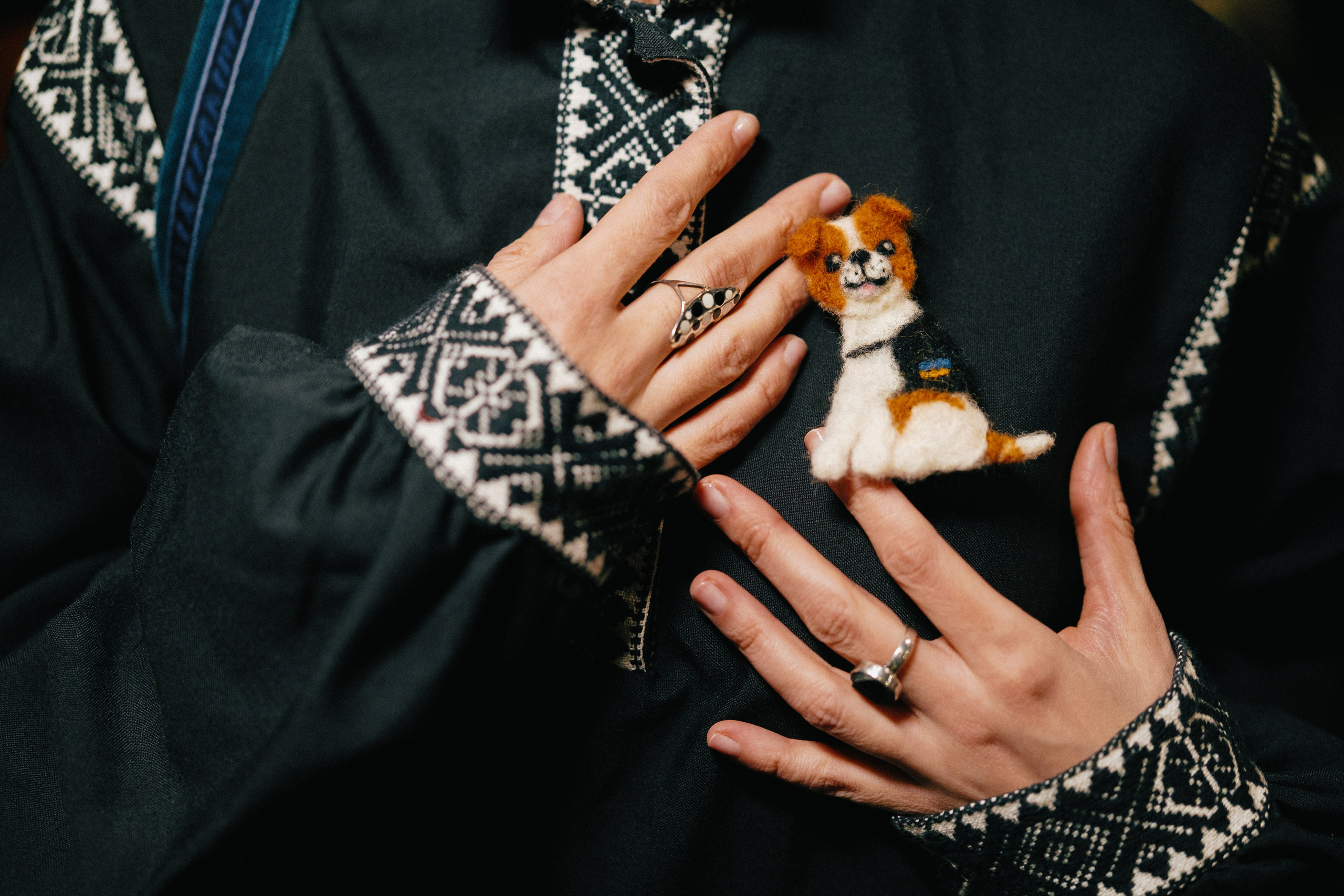Film Premiere at Rio Theatre, Vancouver — “WAR TAILS”. Ivan Skufinsky — wedding and family photographer in Vancouver