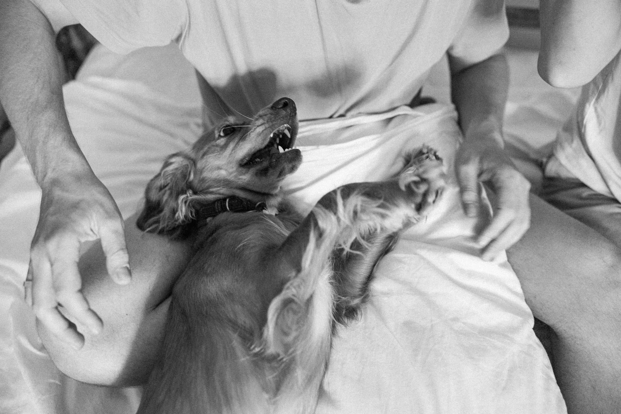 Couples love story photographer photo shoot Vancouver Burnaby Richmond. Ivan Skufinsky — wedding and family photographer in Vancouver