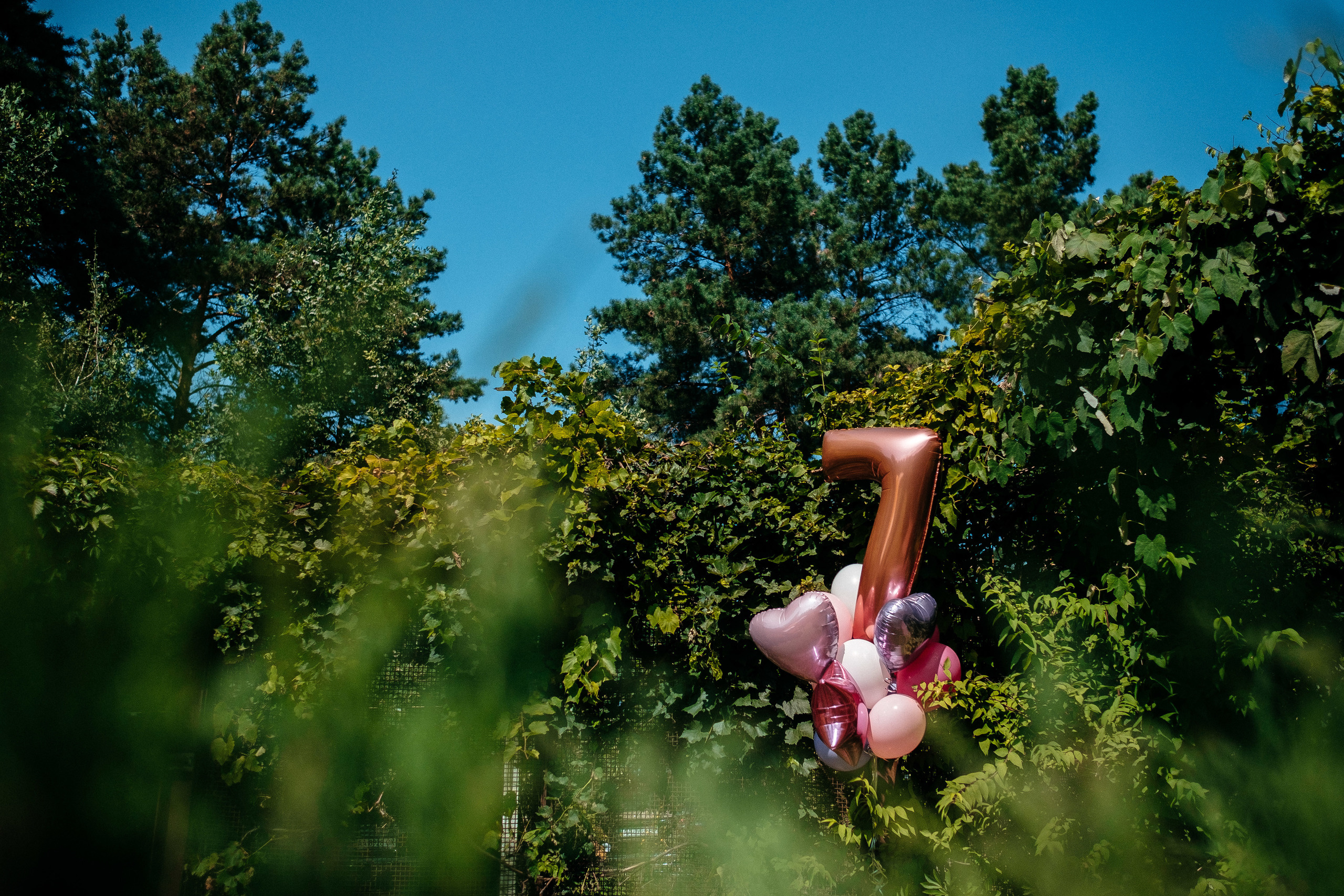 Liza is 7 years old. Ivan Skufinsky — wedding and family photographer in Vancouver