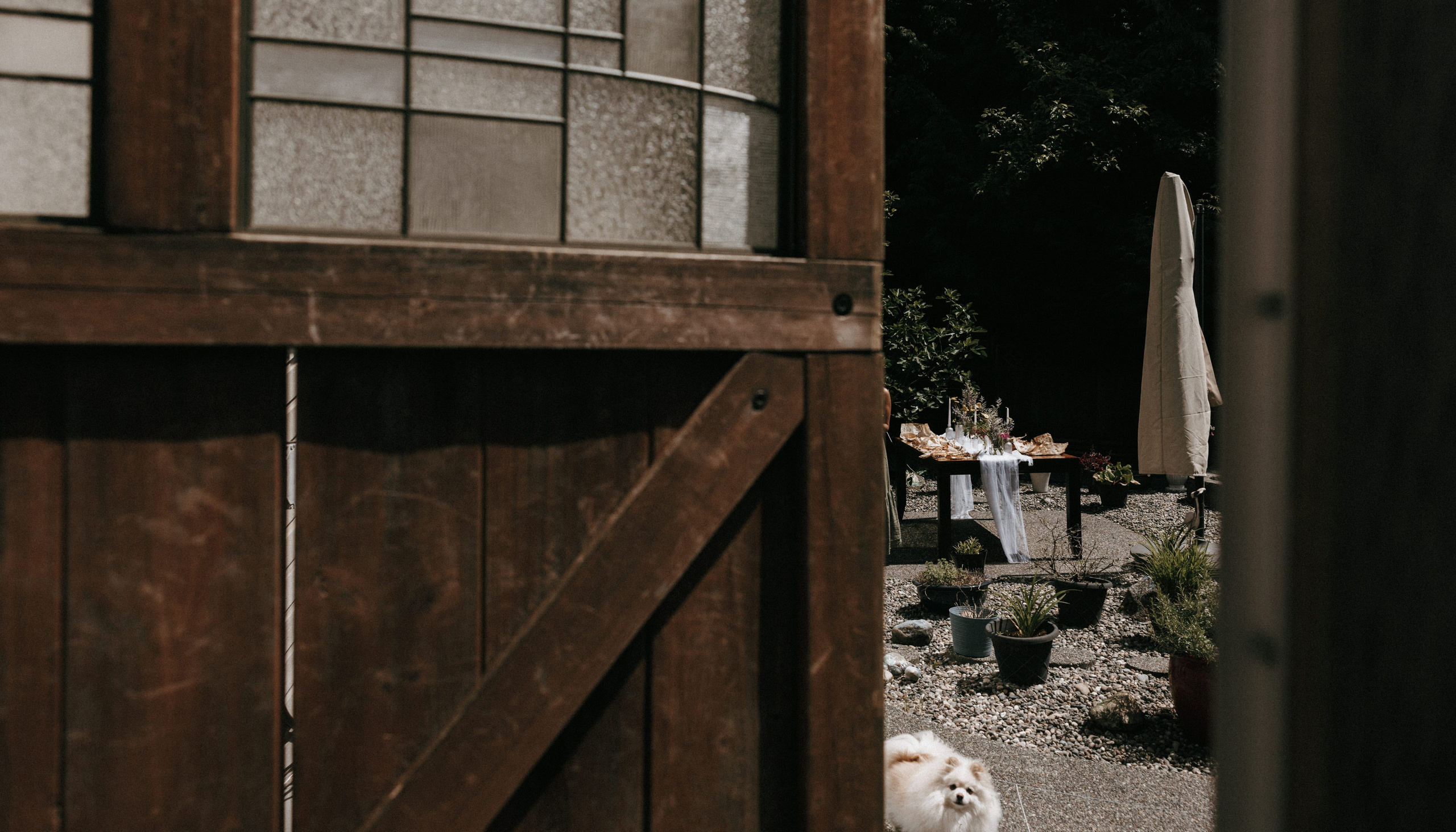 Michael & Caitlyn. Ivan Skufinsky — wedding and family photographer in Vancouver