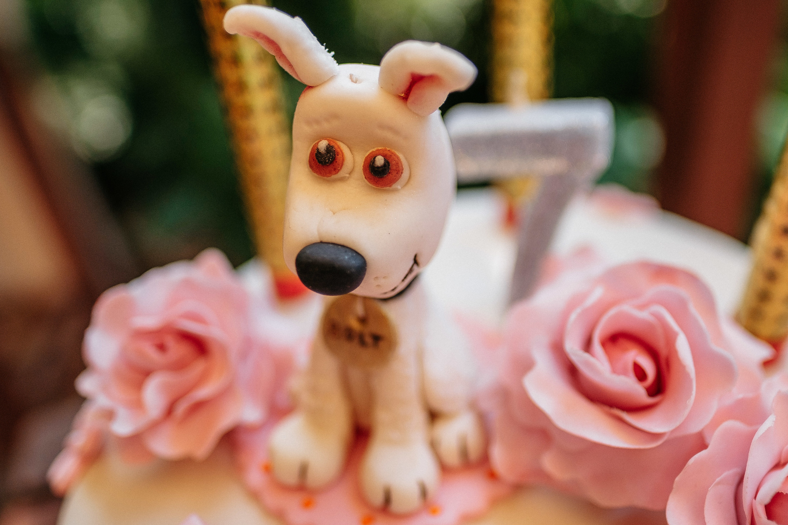 День Рождения Лизочка 7 лет. Ivan Skufinsky — wedding and family photographer in Vancouver