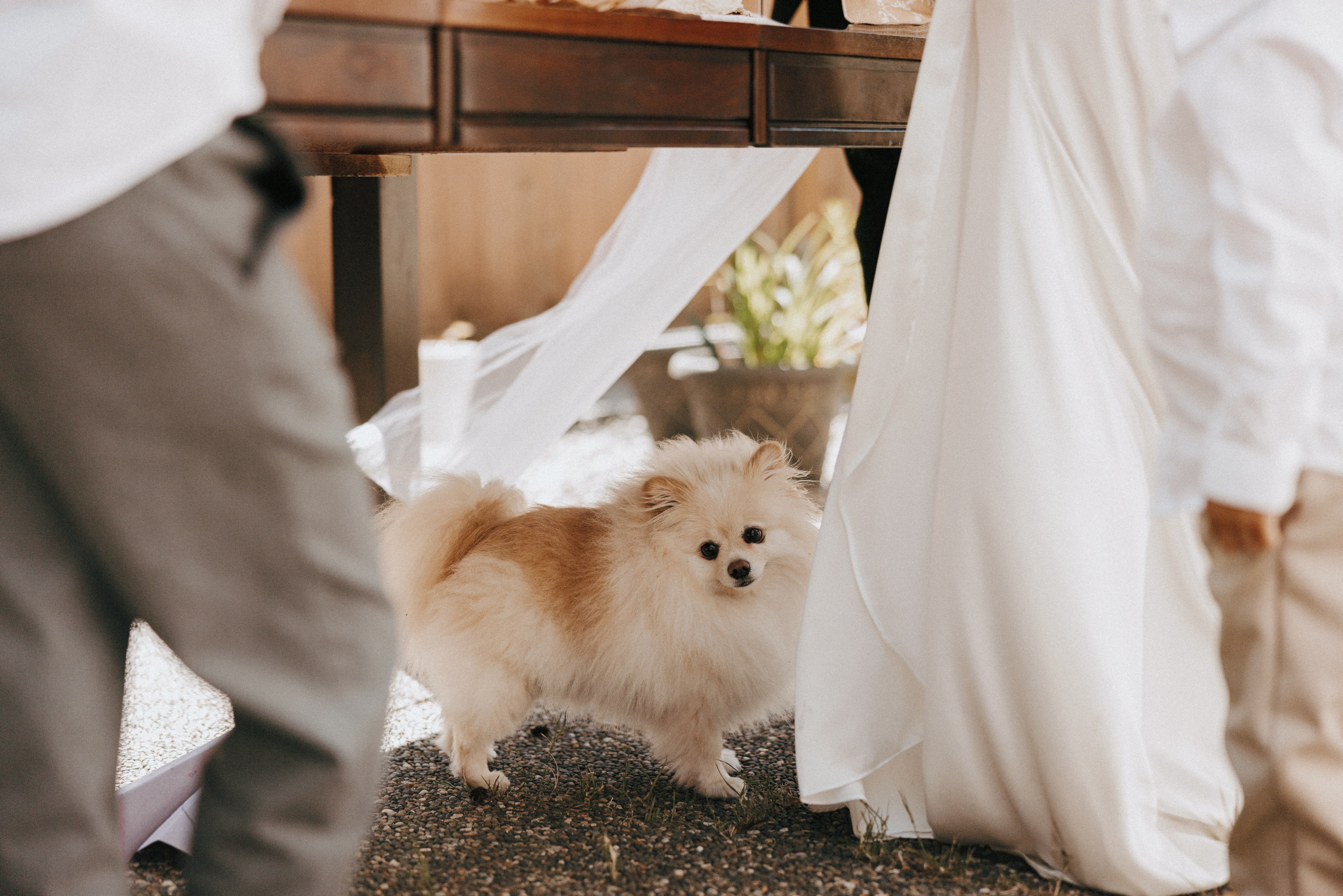 Michael & Caitlyn. Ivan Skufinsky — wedding and family photographer in Vancouver