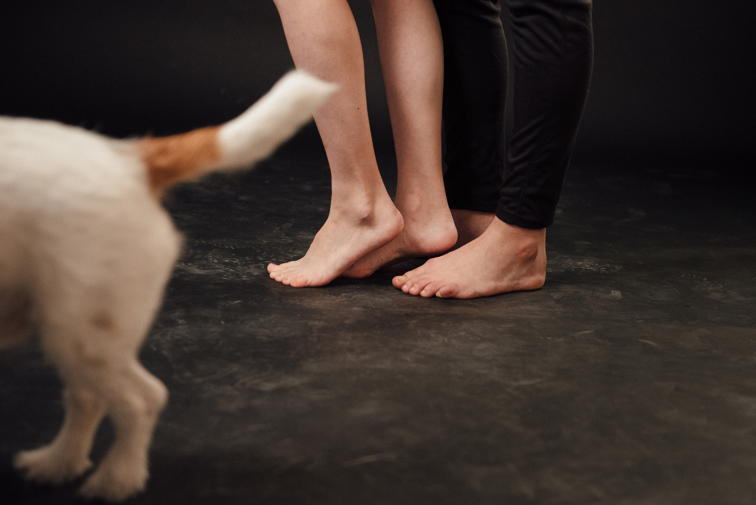 Pregnancy photo session in a photo studio with a dog. Ivan Skufinsky — wedding and family photographer in Vancouver