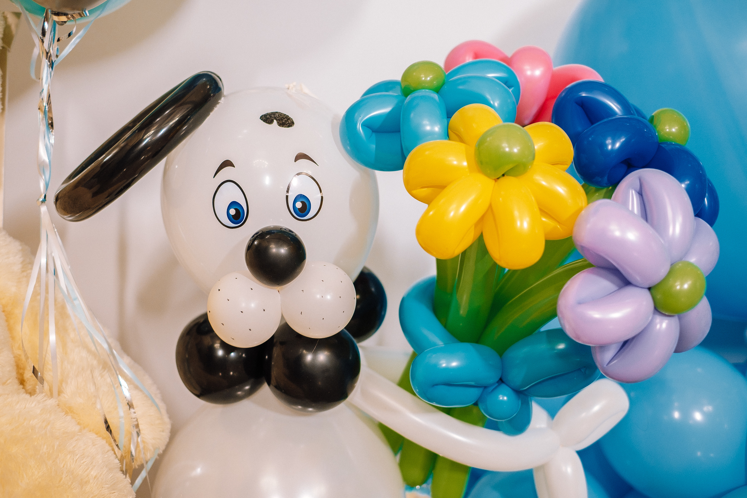 Версаль 30.11.2019. Ivan Skufinsky — wedding and family photographer in Vancouver