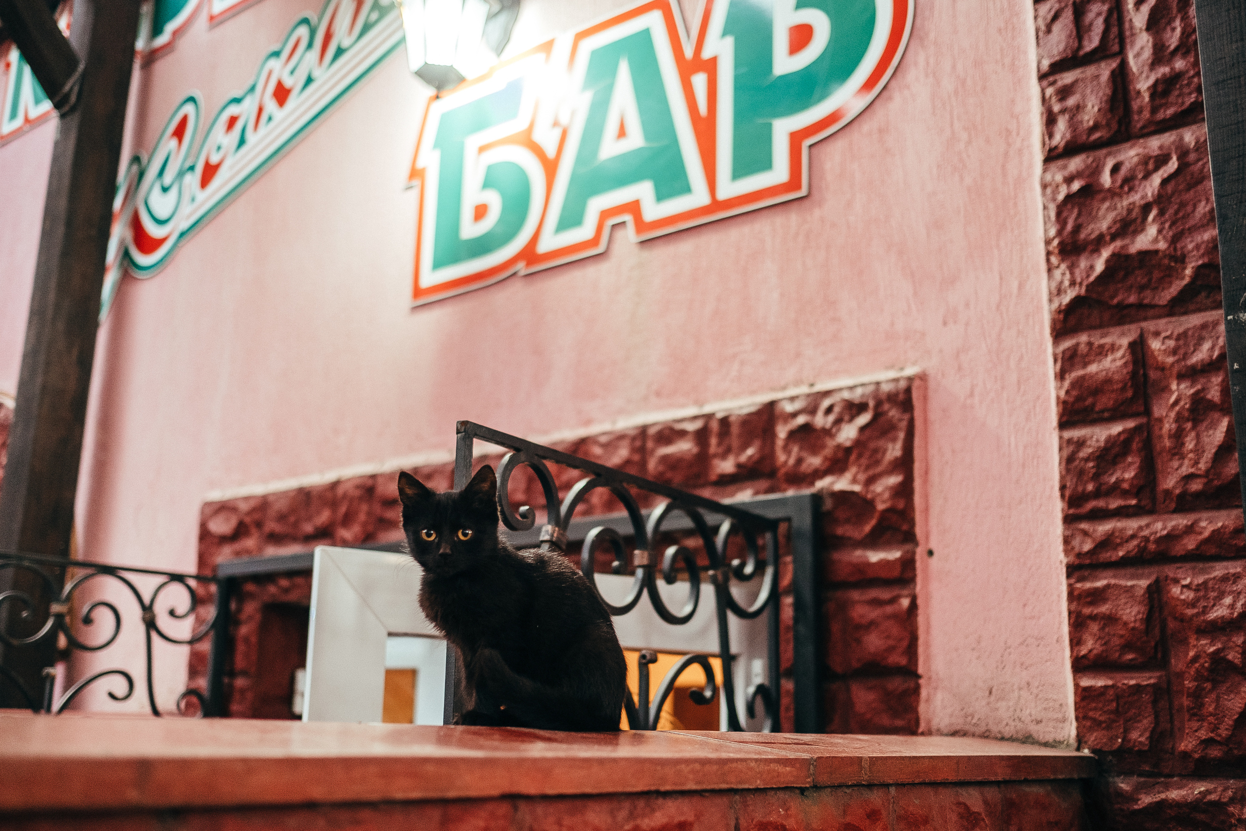 28.09.2018 Wedding Story. Ivan Skufinsky — wedding and family photographer in Vancouver