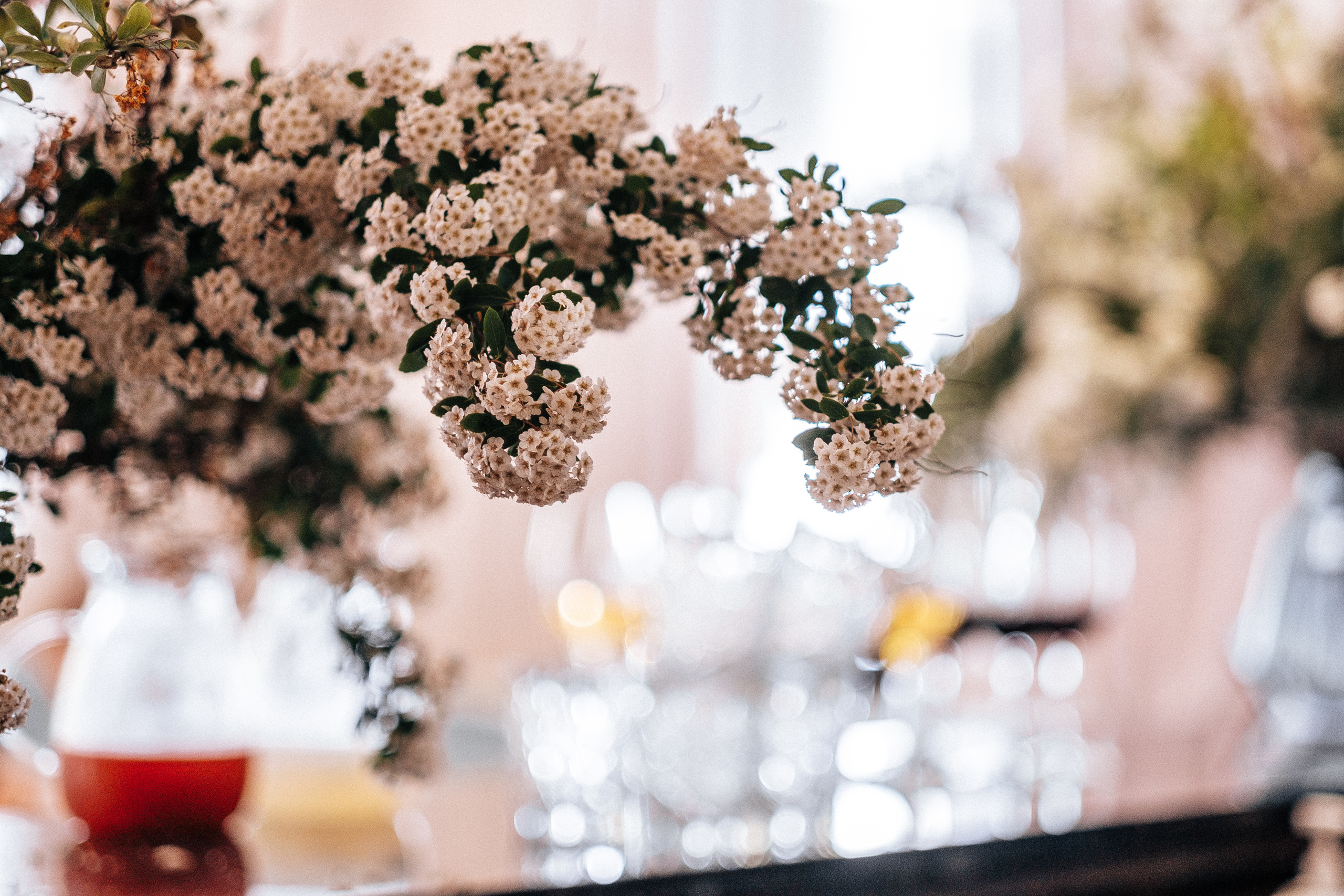 Вика+Максим. Ivan Skufinsky — wedding and family photographer in Vancouver