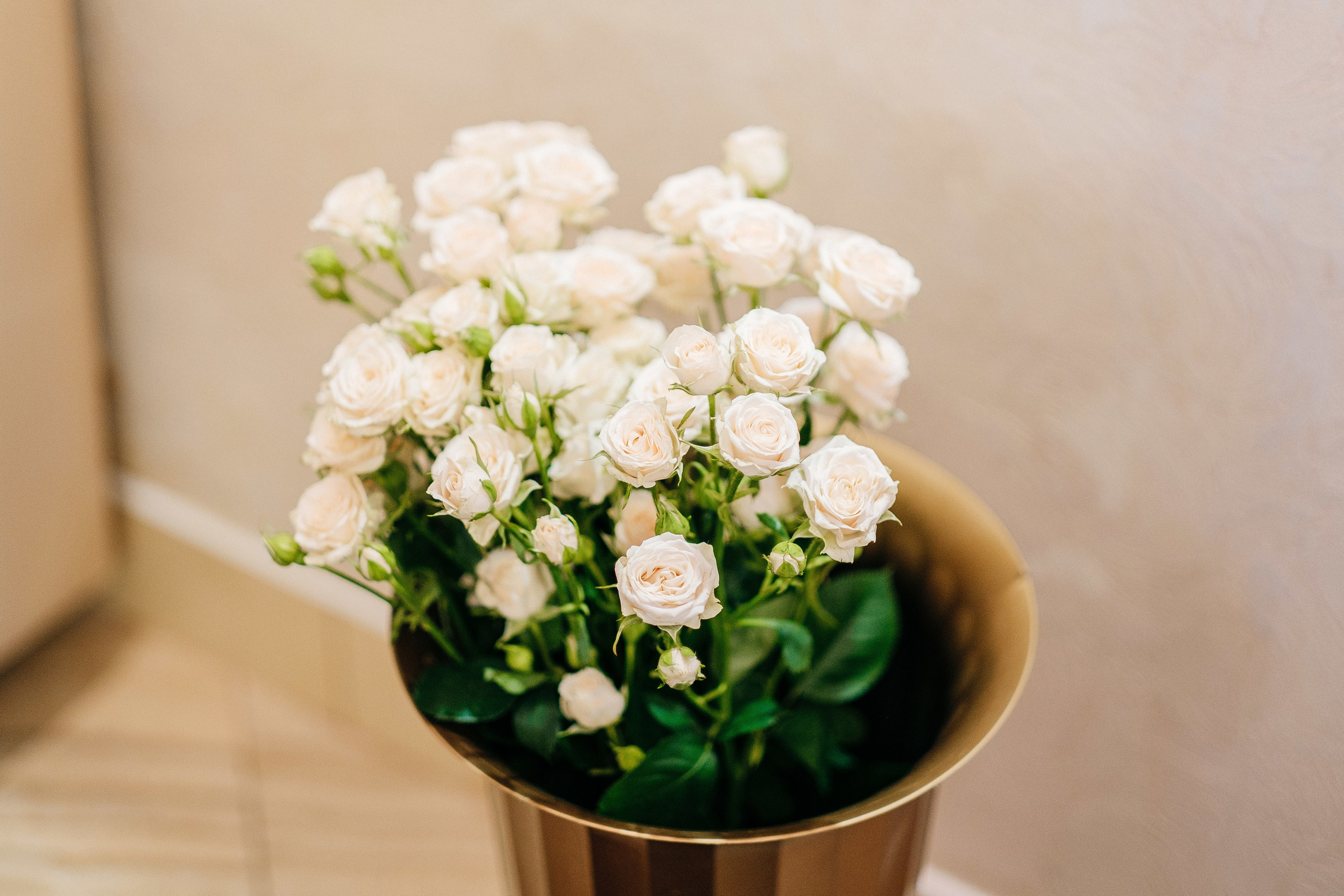 День Народження Даниїл 2019. Ivan Skufinsky — wedding and family photographer in Vancouver