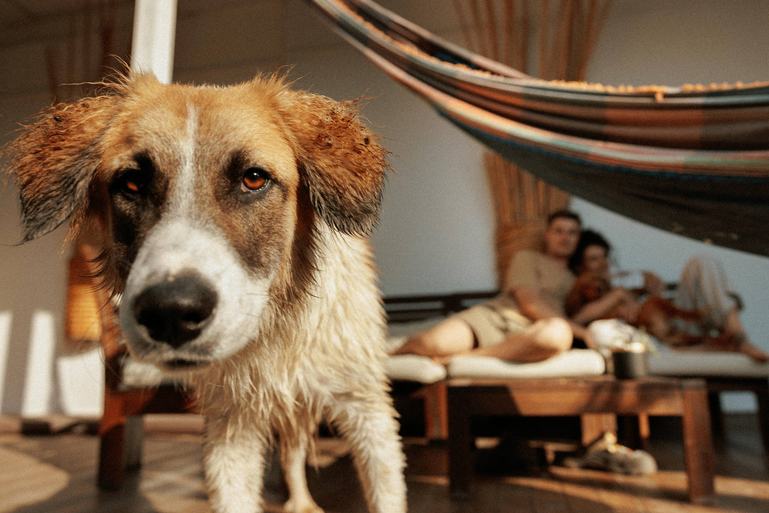 Couples love story photographer photo shoot Vancouver Burnaby Richmond. Ivan Skufinsky — wedding and family photographer in Vancouver