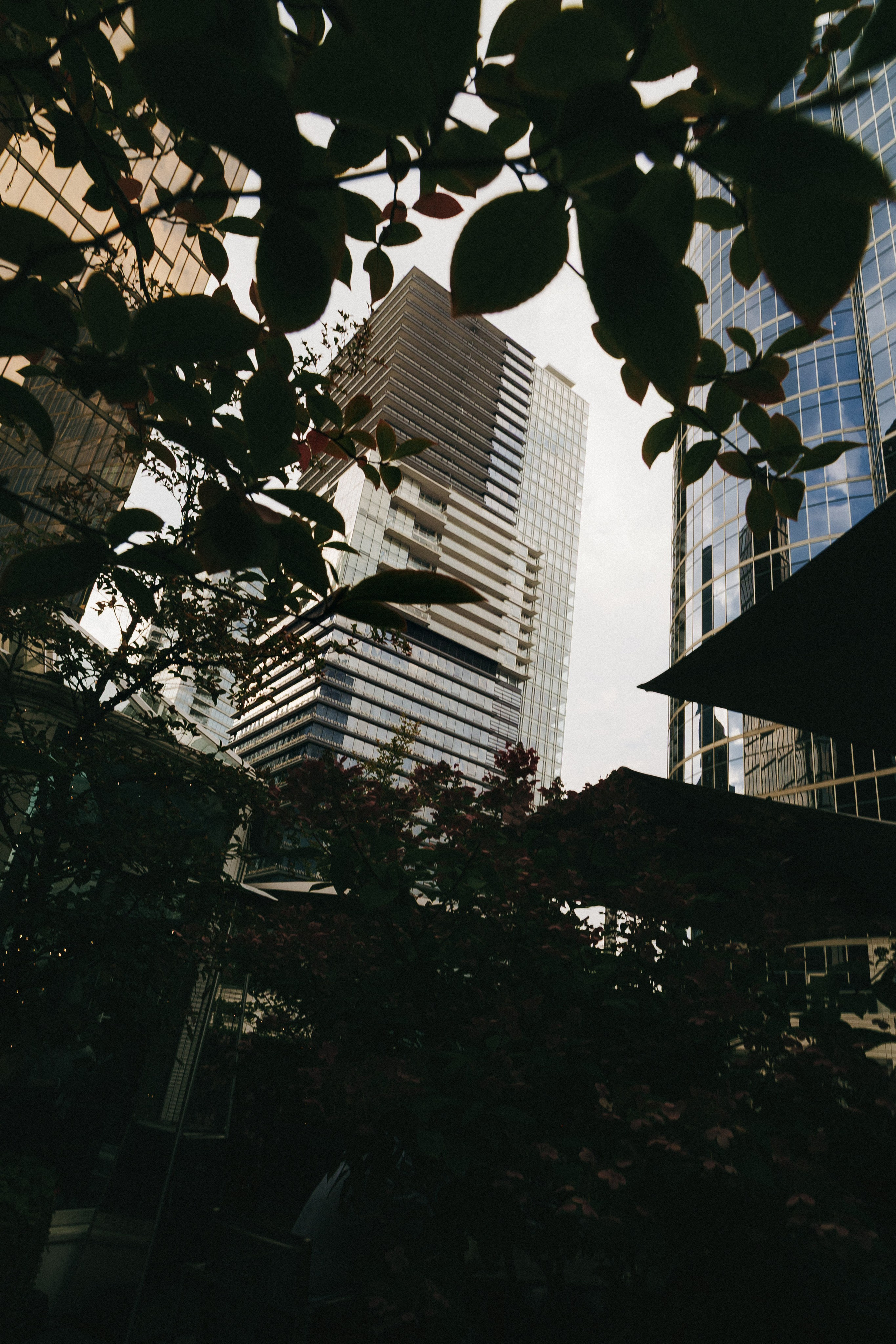 WeddingStory in Vancouver Club. Ivan Skufinsky — wedding and family photographer in Vancouver