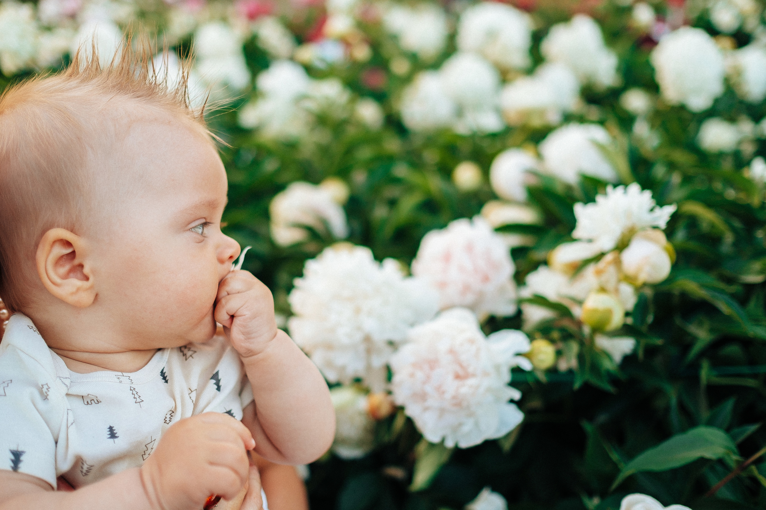 семейная фотосессия Киев