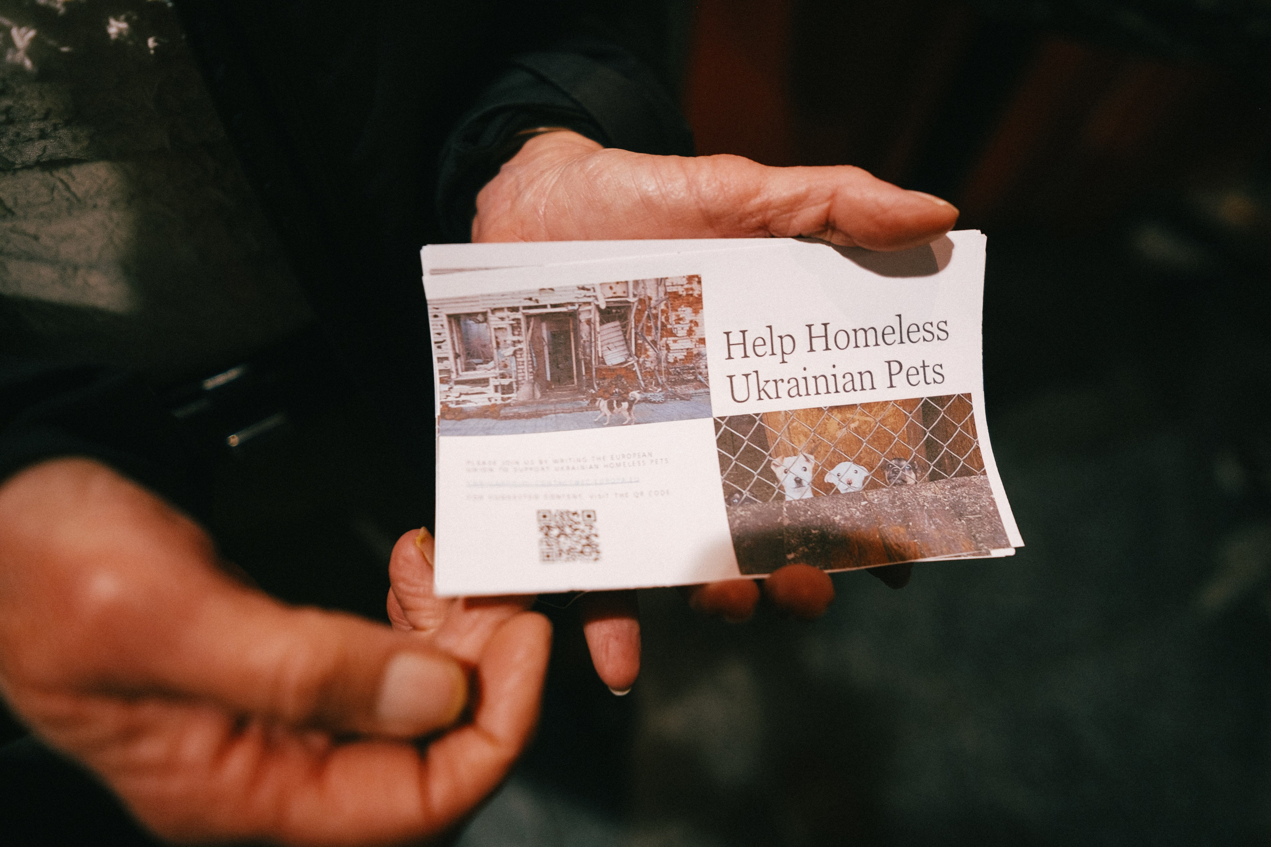 Film Premiere at Rio Theatre, Vancouver — “WAR TAILS”. Ivan Skufinsky — wedding and family photographer in Vancouver