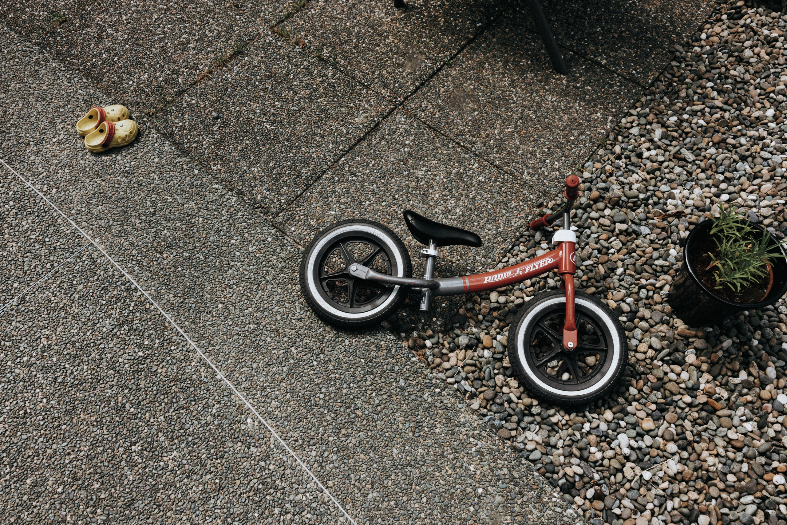 Michael & Caitlyn. Ivan Skufinsky — wedding and family photographer in Vancouver