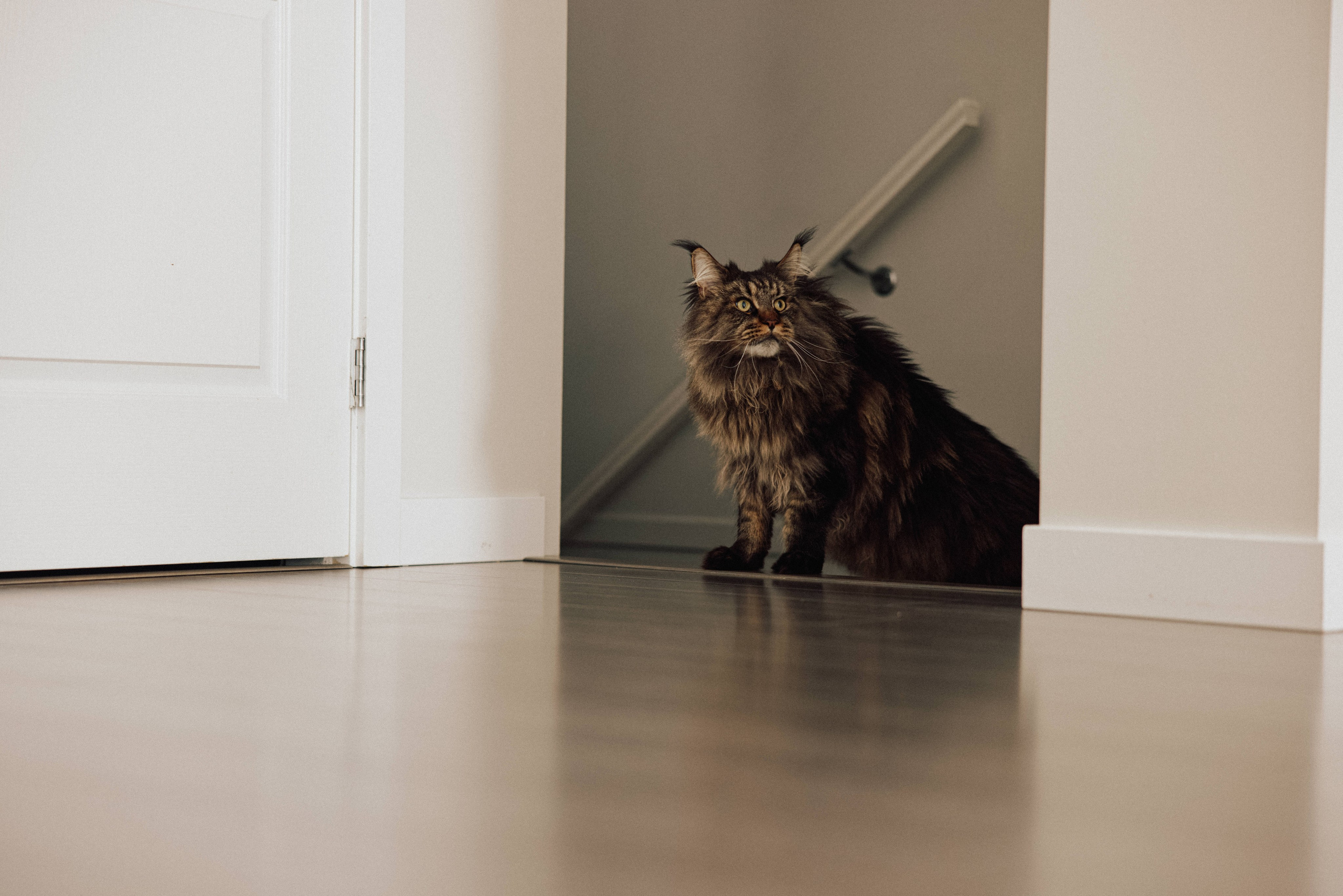 Pregnancy Home Story Vancouver. Ivan Skufinsky — wedding and family photographer in Vancouver