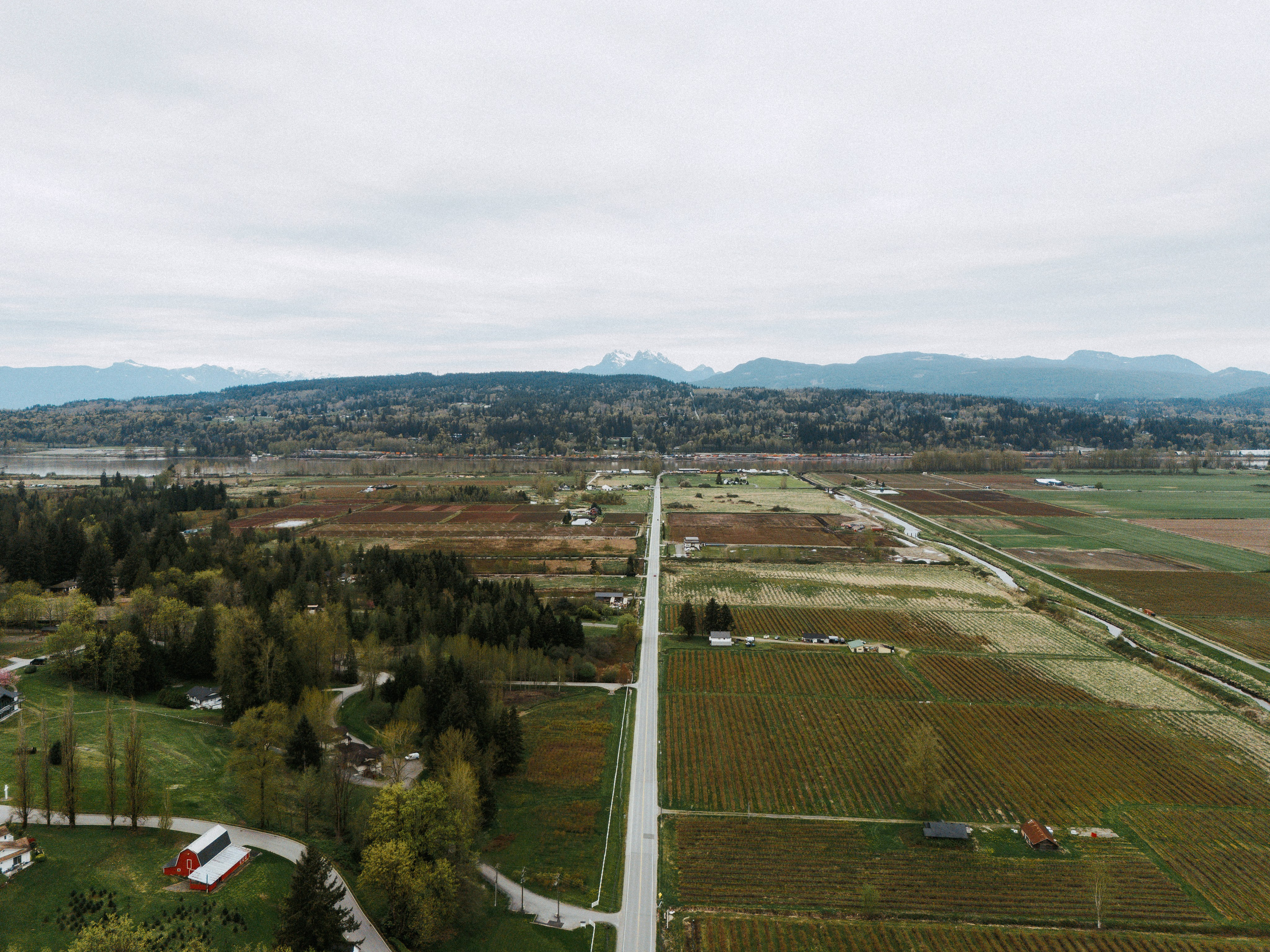 Dimitr & Olya GreenTee Country Club Langley. Ivan Skufinsky — wedding and family photographer in Vancouver