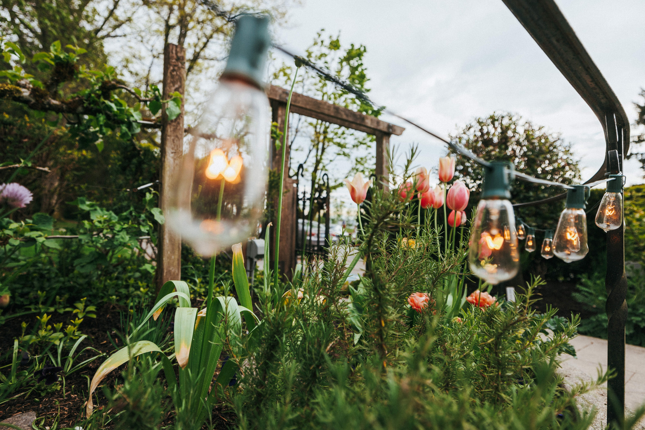 Cade & Susanne — The Teahouse in Stanley Park | Photography by Ivan Skufinsky. Ivan Skufinsky — wedding and family photographer in Vancouver