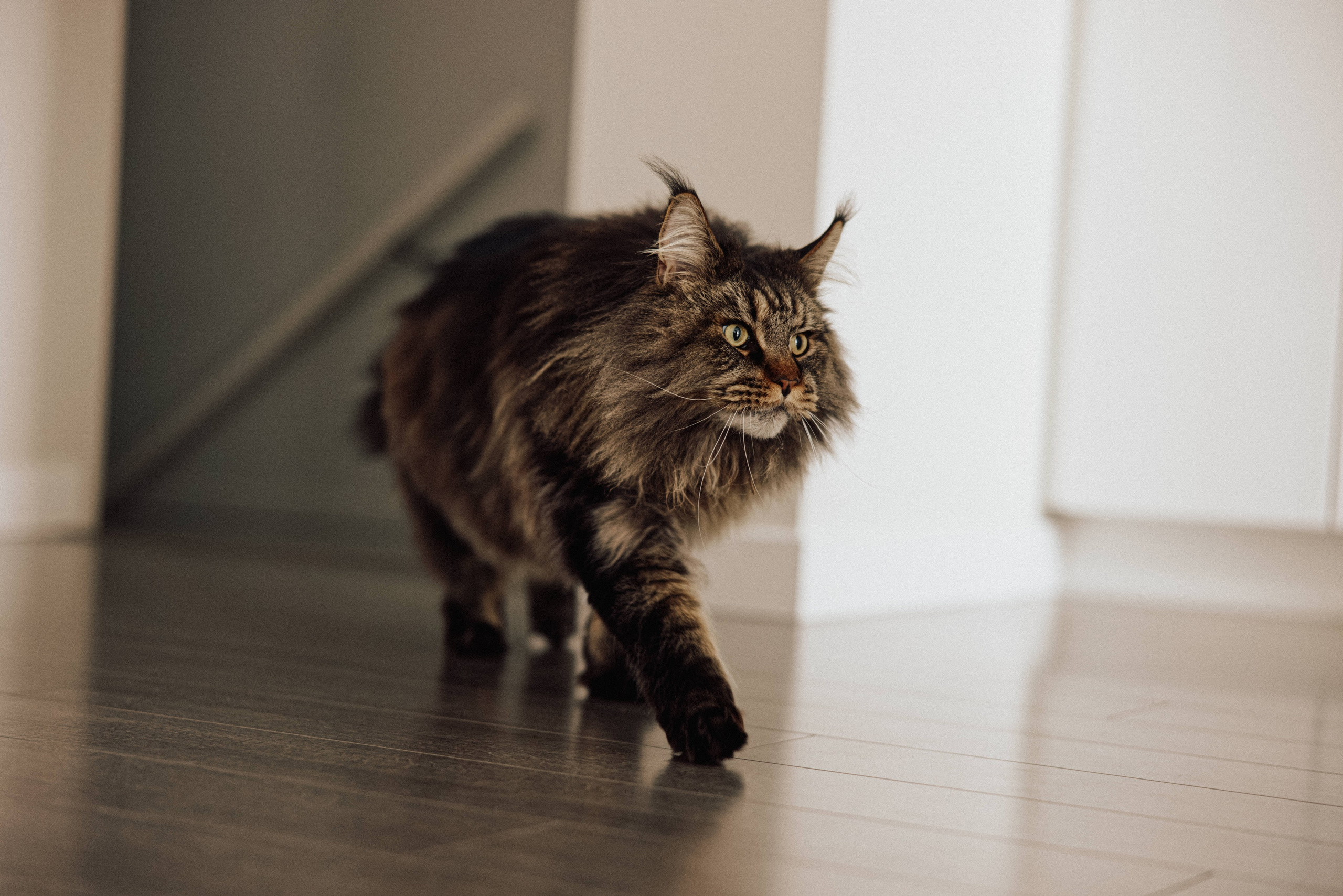 Pregnancy Home Story Vancouver. Ivan Skufinsky — wedding and family photographer in Vancouver