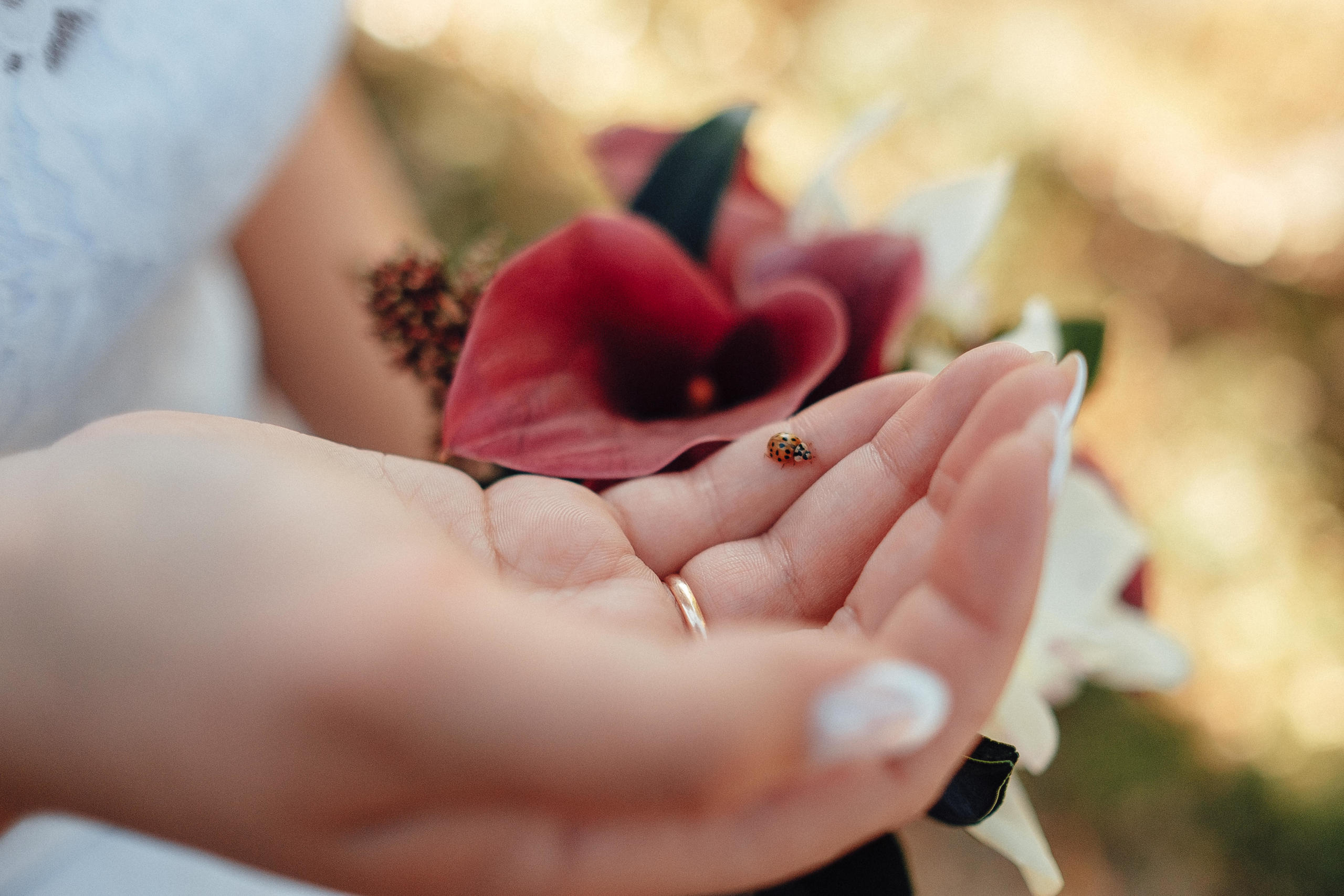 13.09.2018 Wedding Story. Ivan Skufinsky — wedding and family photographer in Vancouver