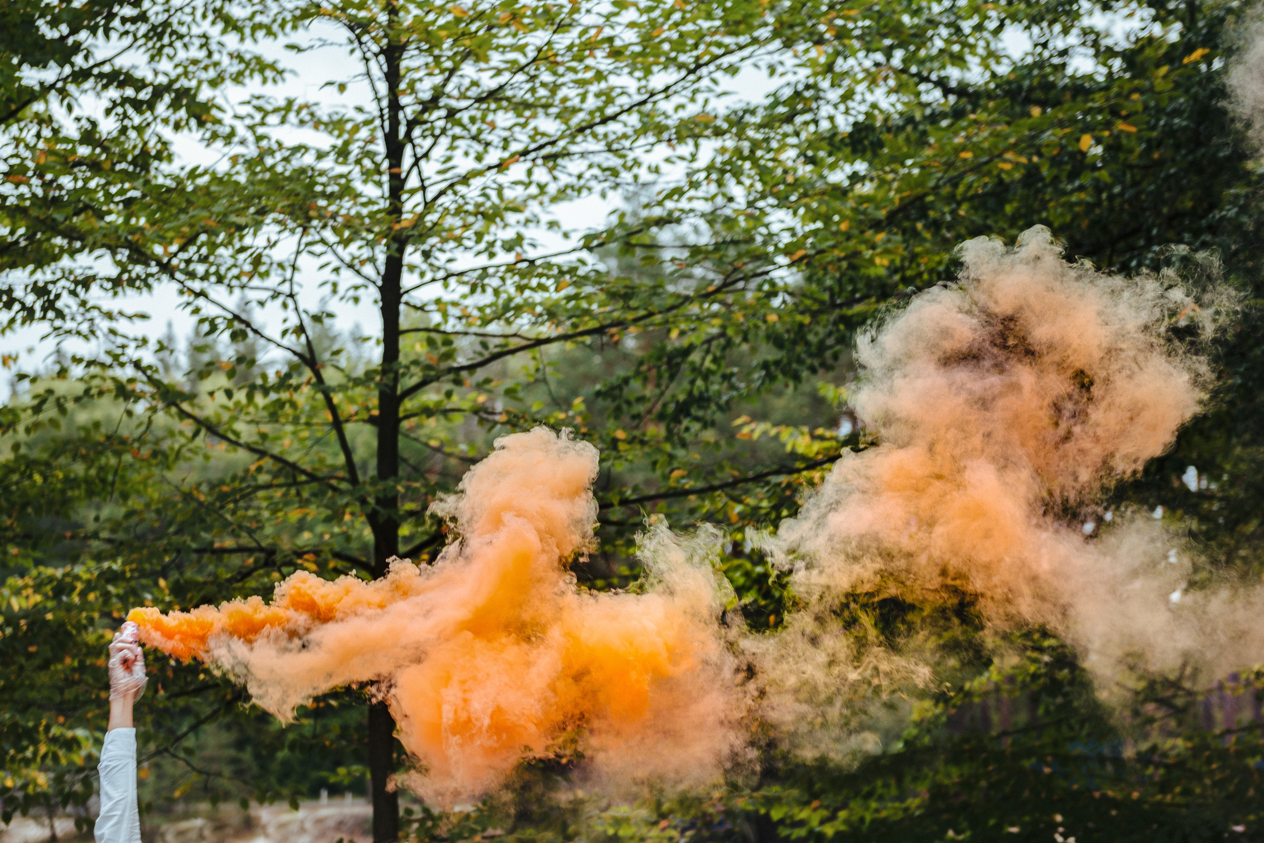 Wedding photoshoots photographer videographer Vancouver BC. Ivan Skufinsky — wedding and family photographer in Vancouver