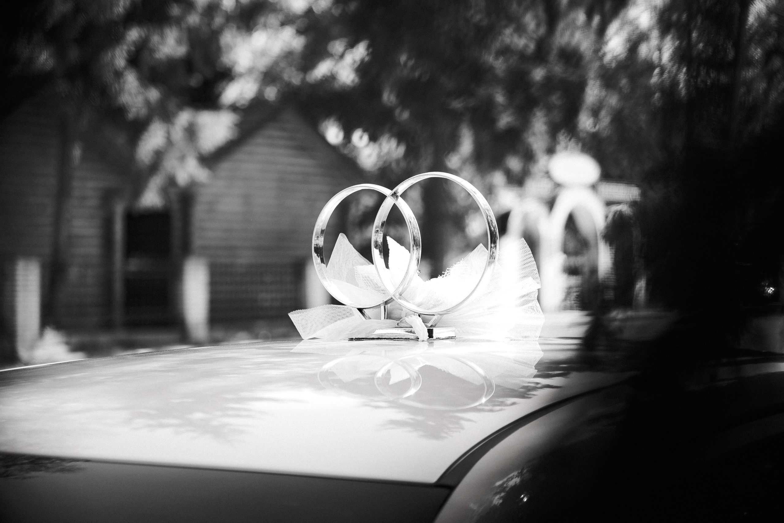 Виктор+Катя. Ivan Skufinsky — wedding and family photographer in Vancouver