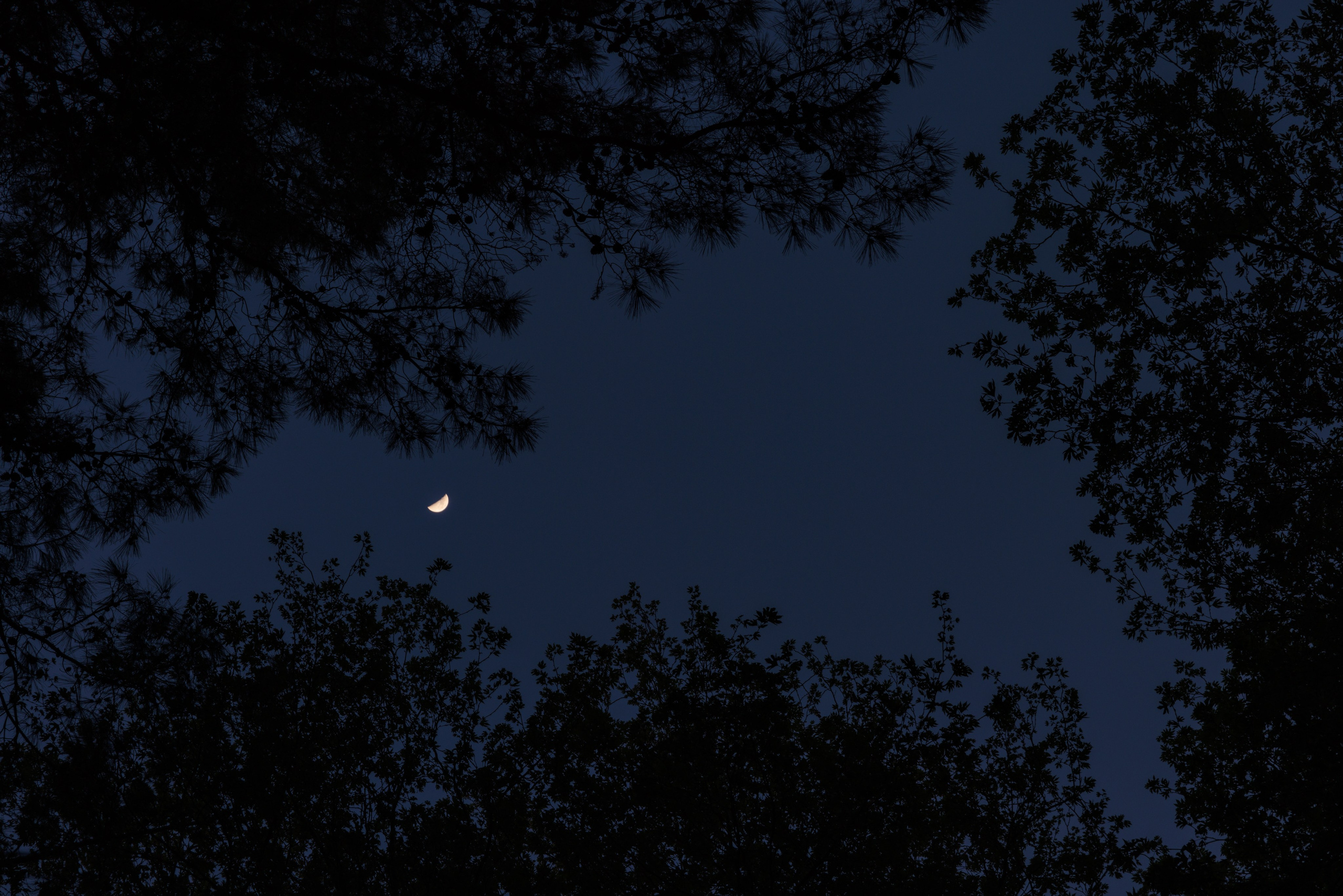 Инивидуальная фотосессия Ванкувер. Ivan Skufinsky — wedding and family photographer in Vancouver