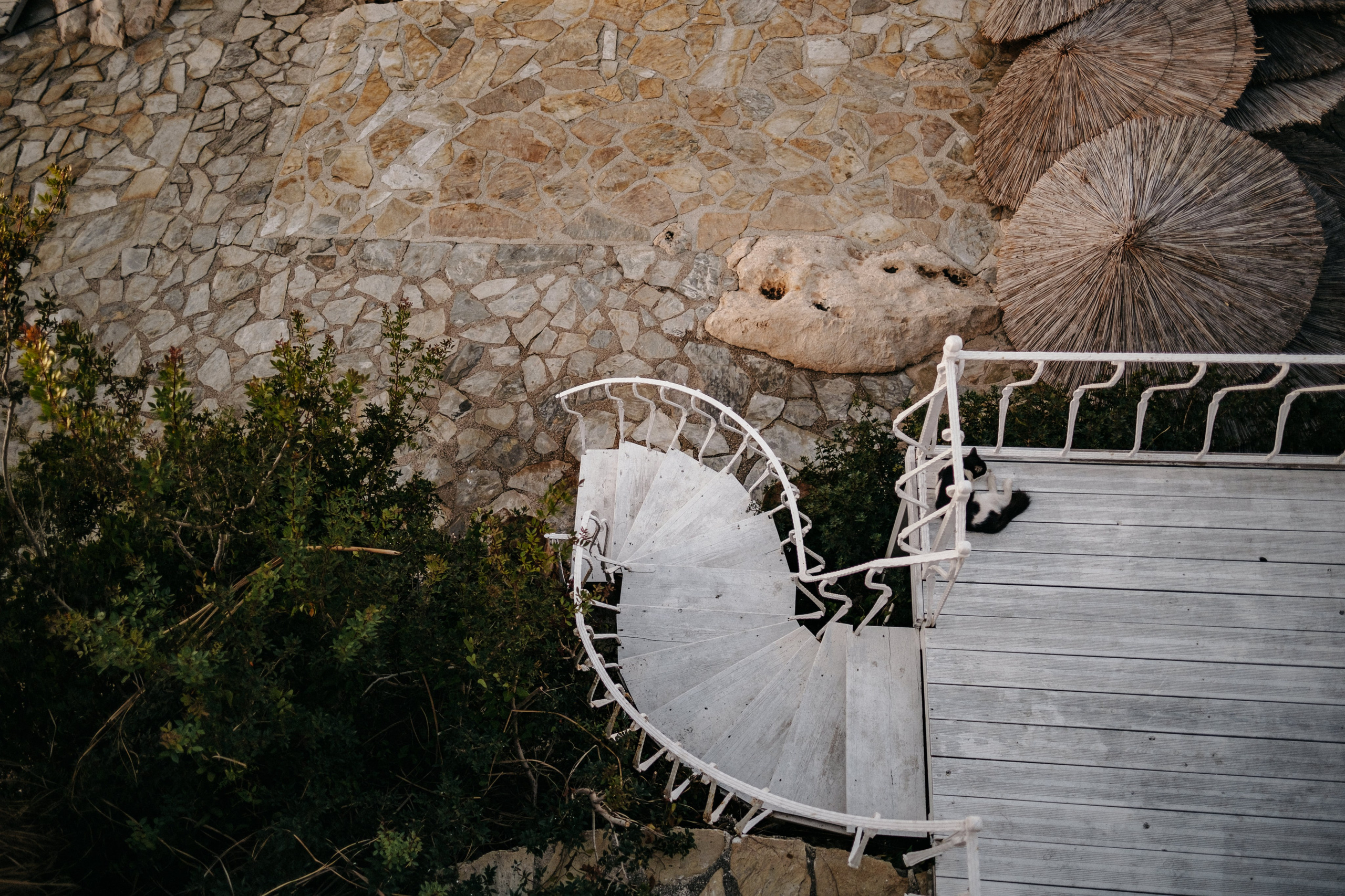 Wedding photographer Vancouver. Ivan Skufinsky — wedding and family photographer in Vancouver