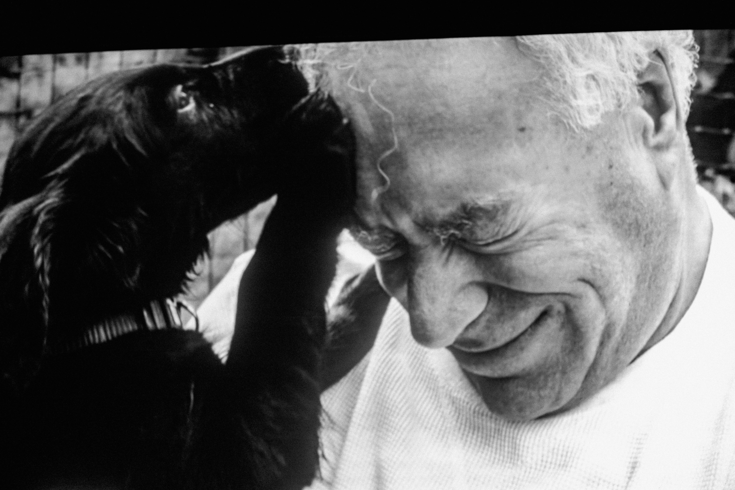 Film Premiere at Rio Theatre, Vancouver — “WAR TAILS”. Ivan Skufinsky — wedding and family photographer in Vancouver