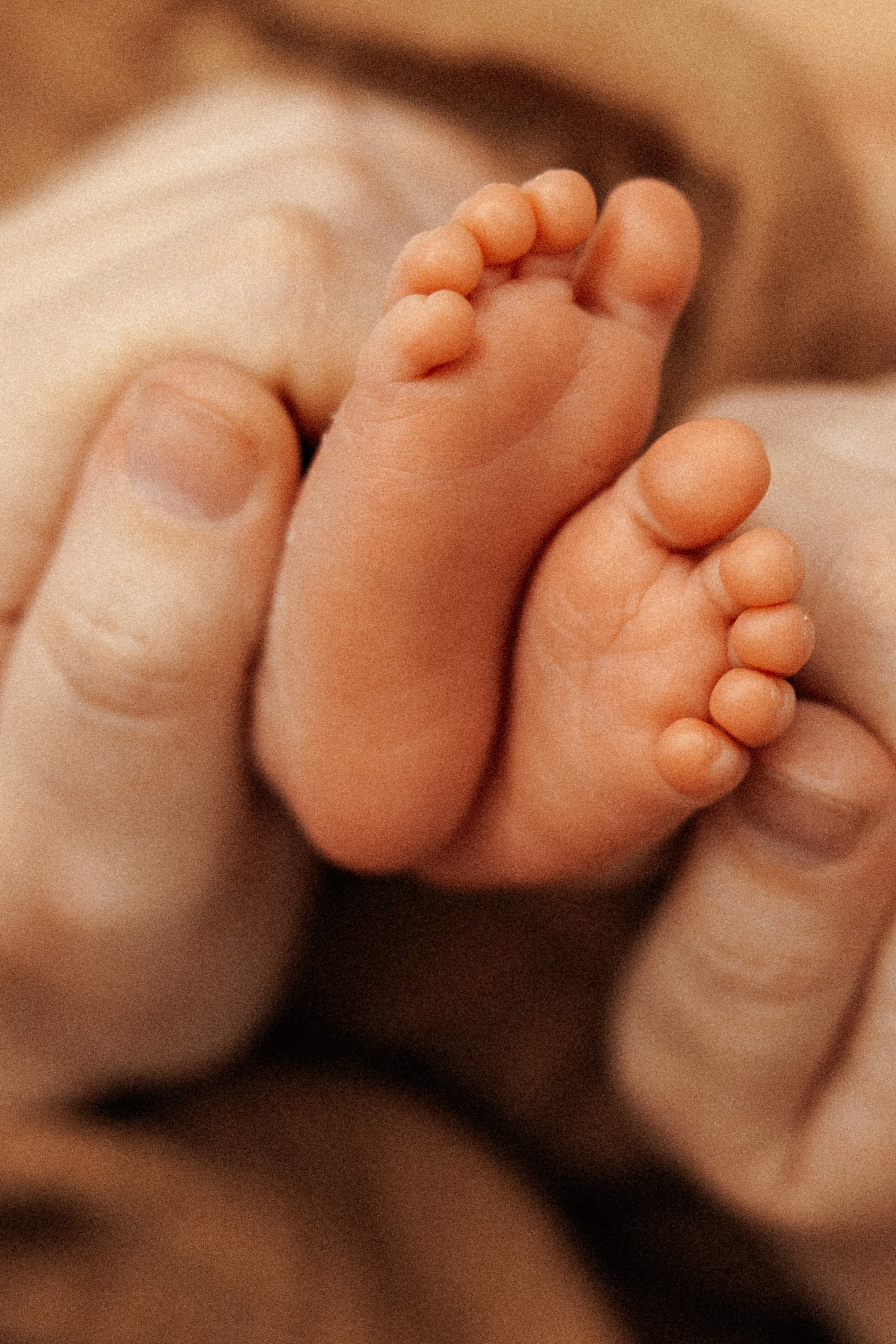 Family photo session at home. home family photo session with a newborn. Ivan Skufinsky — wedding and family photographer in Vancouver