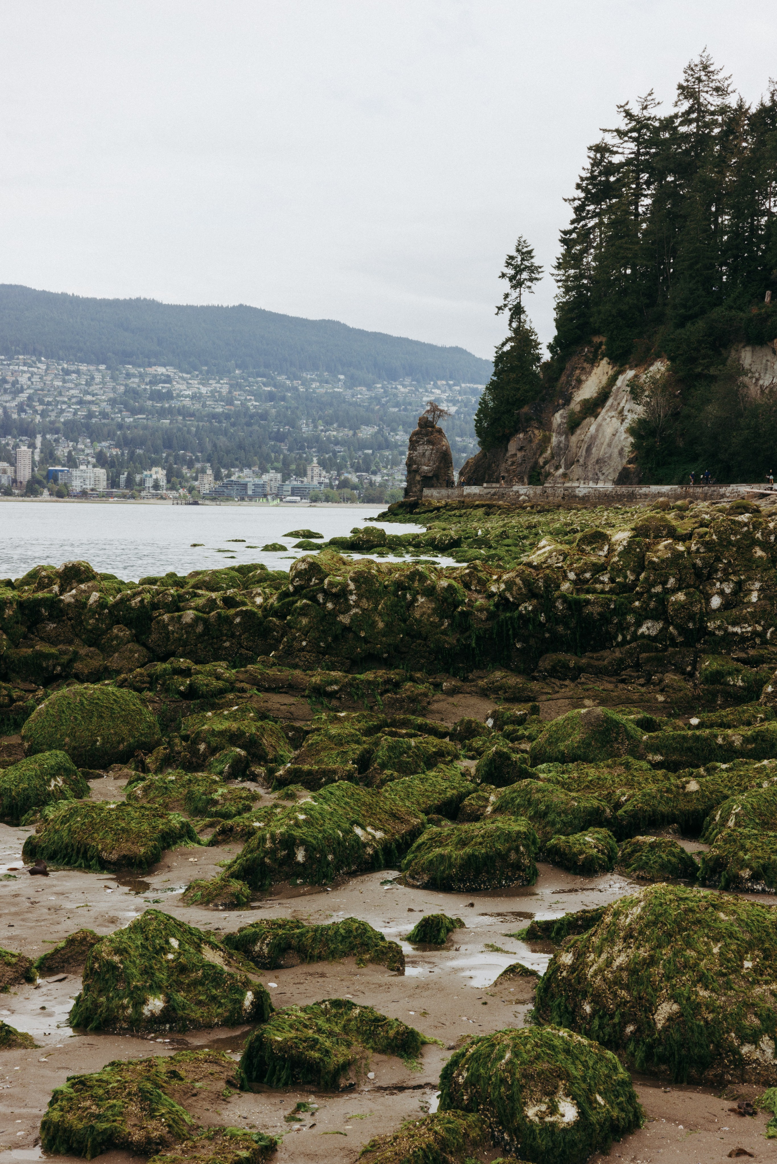 Vancouver love story. Ivan Skufinsky — wedding and family photographer in Vancouver