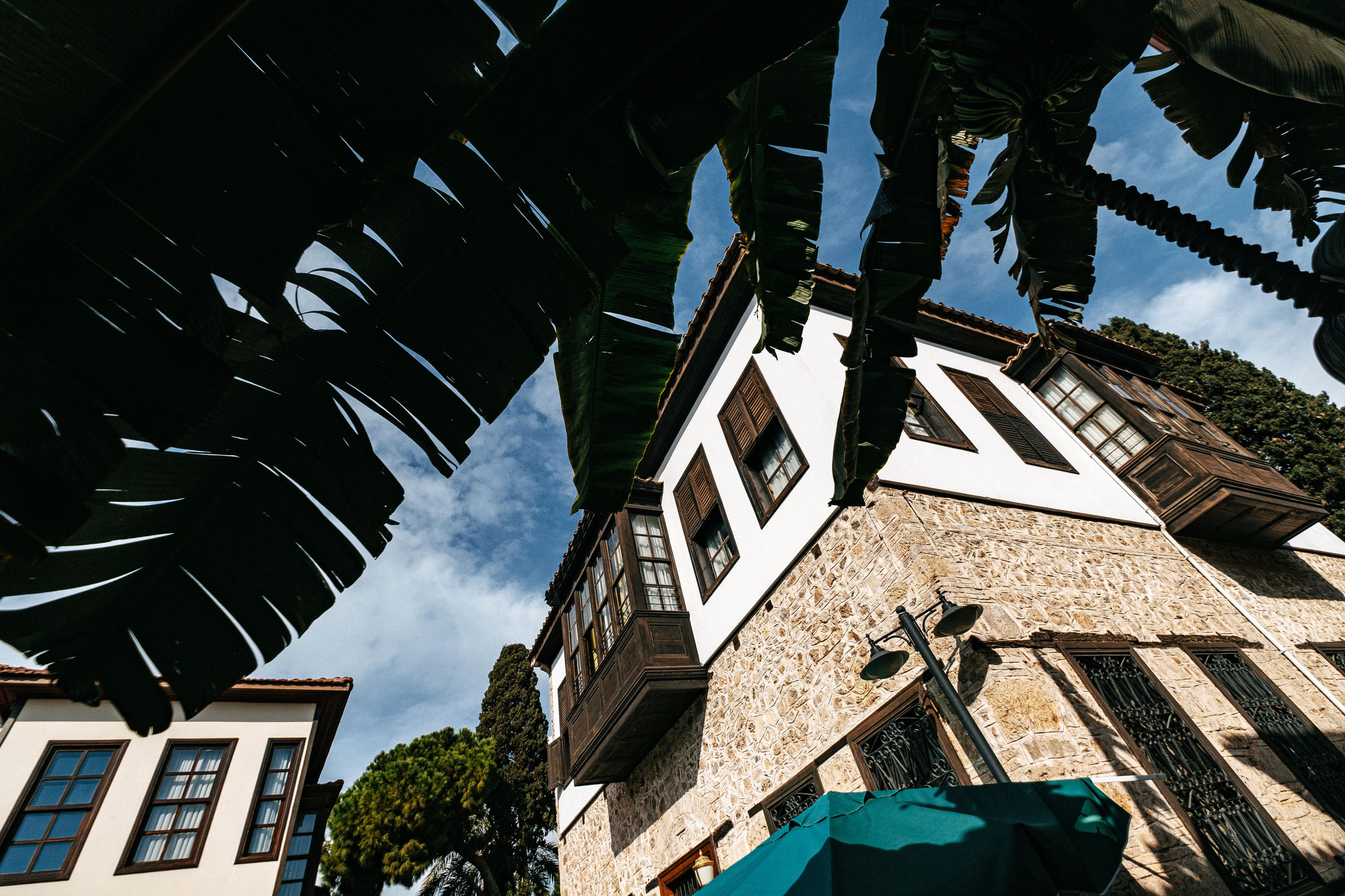 Wedding photographer in Vancouver Весільний фотограф у Ванкувері. Ivan Skufinsky — wedding and family photographer in Vancouver