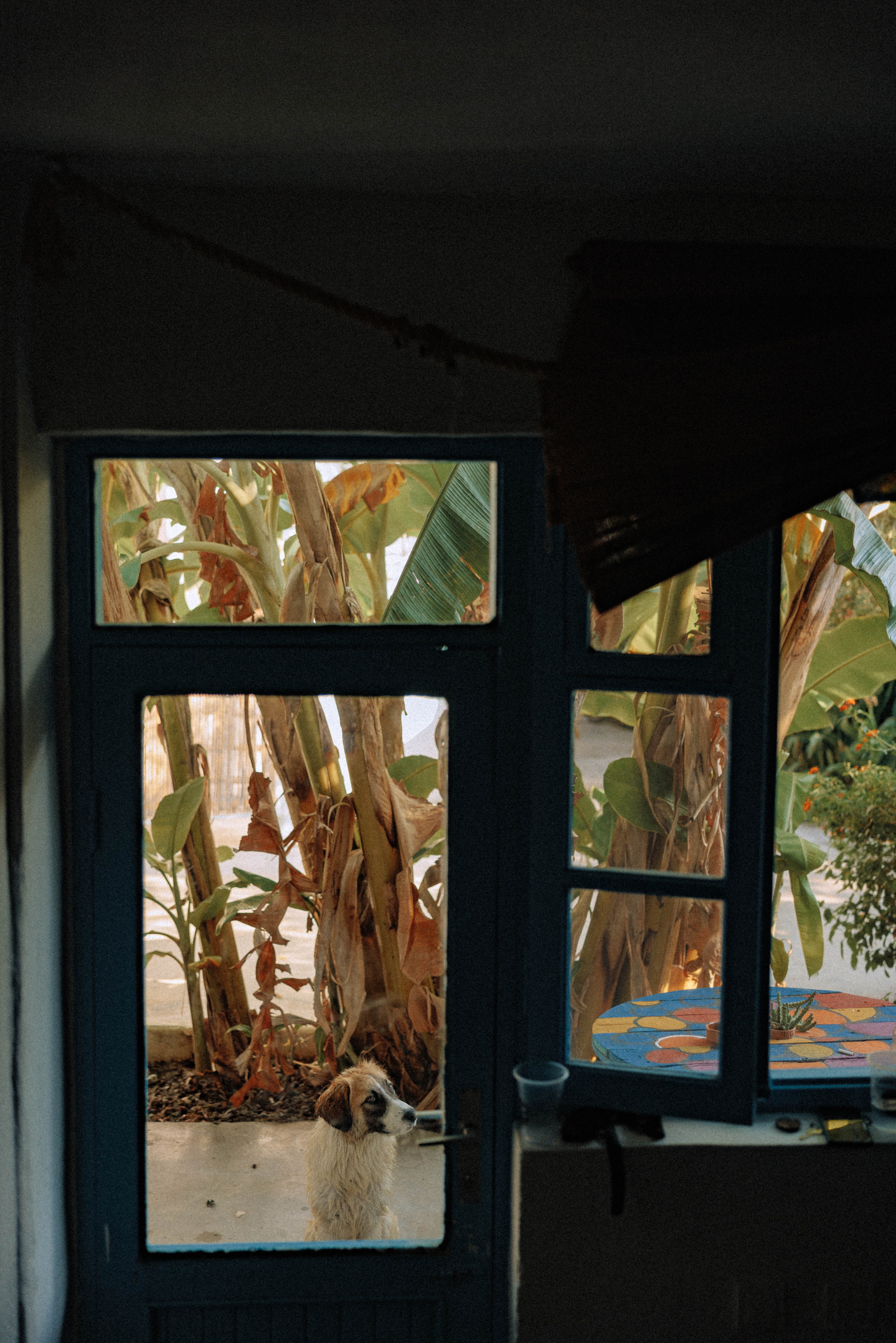 Couples love story photographer photo shoot Vancouver Burnaby Richmond. Ivan Skufinsky — wedding and family photographer in Vancouver