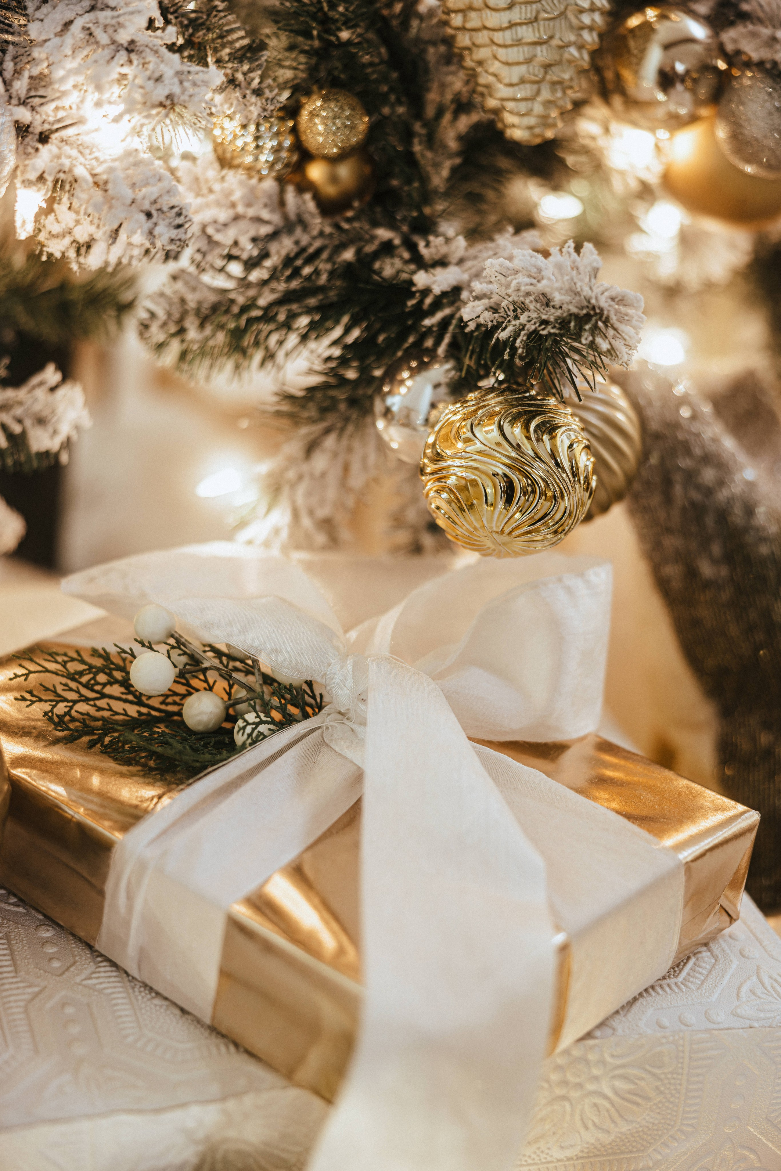 Cristmas mini sessions 2025 Vancouver. Ivan Skufinsky — wedding and family photographer in Vancouver