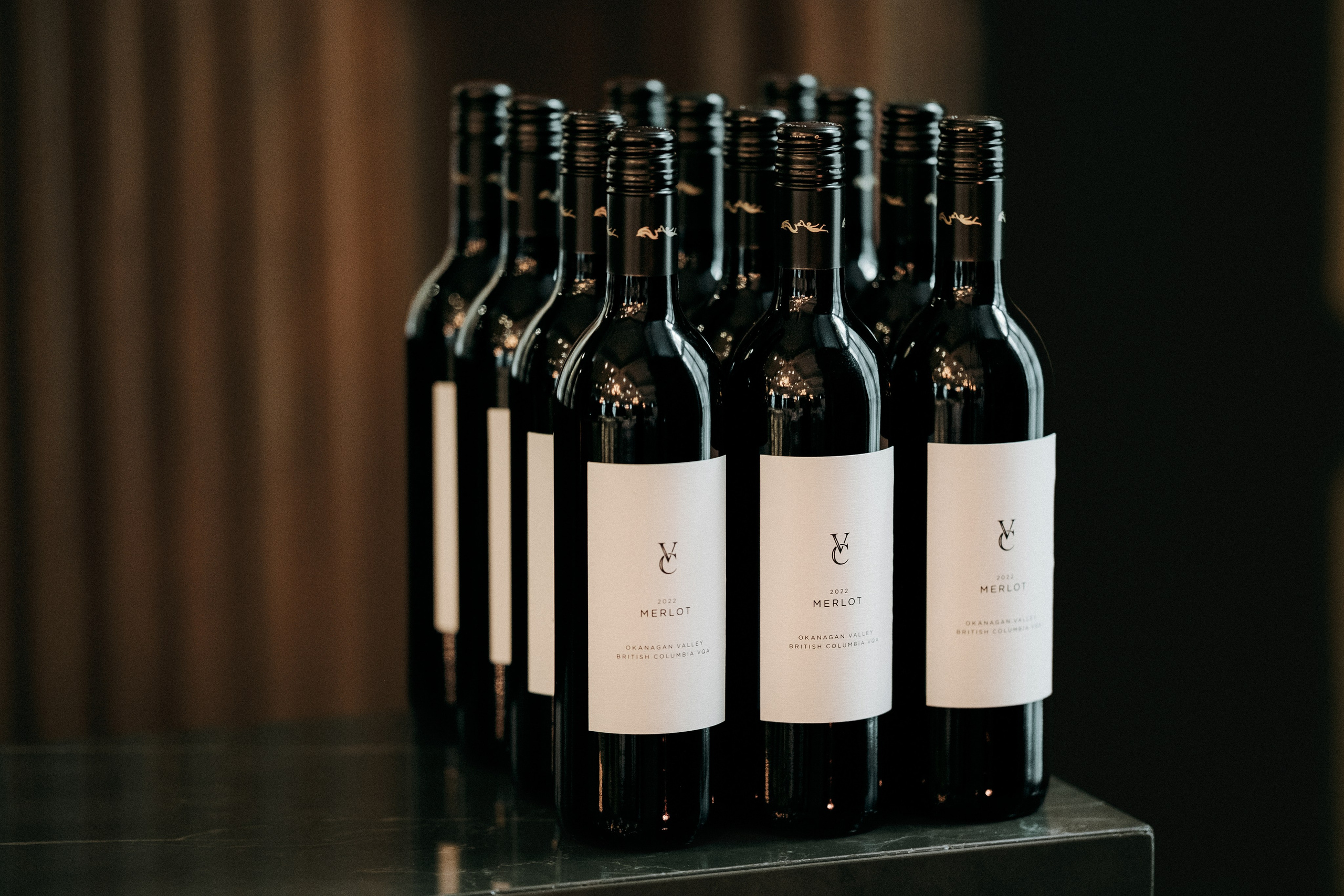 WeddingStory in Vancouver Club. Ivan Skufinsky — wedding and family photographer in Vancouver