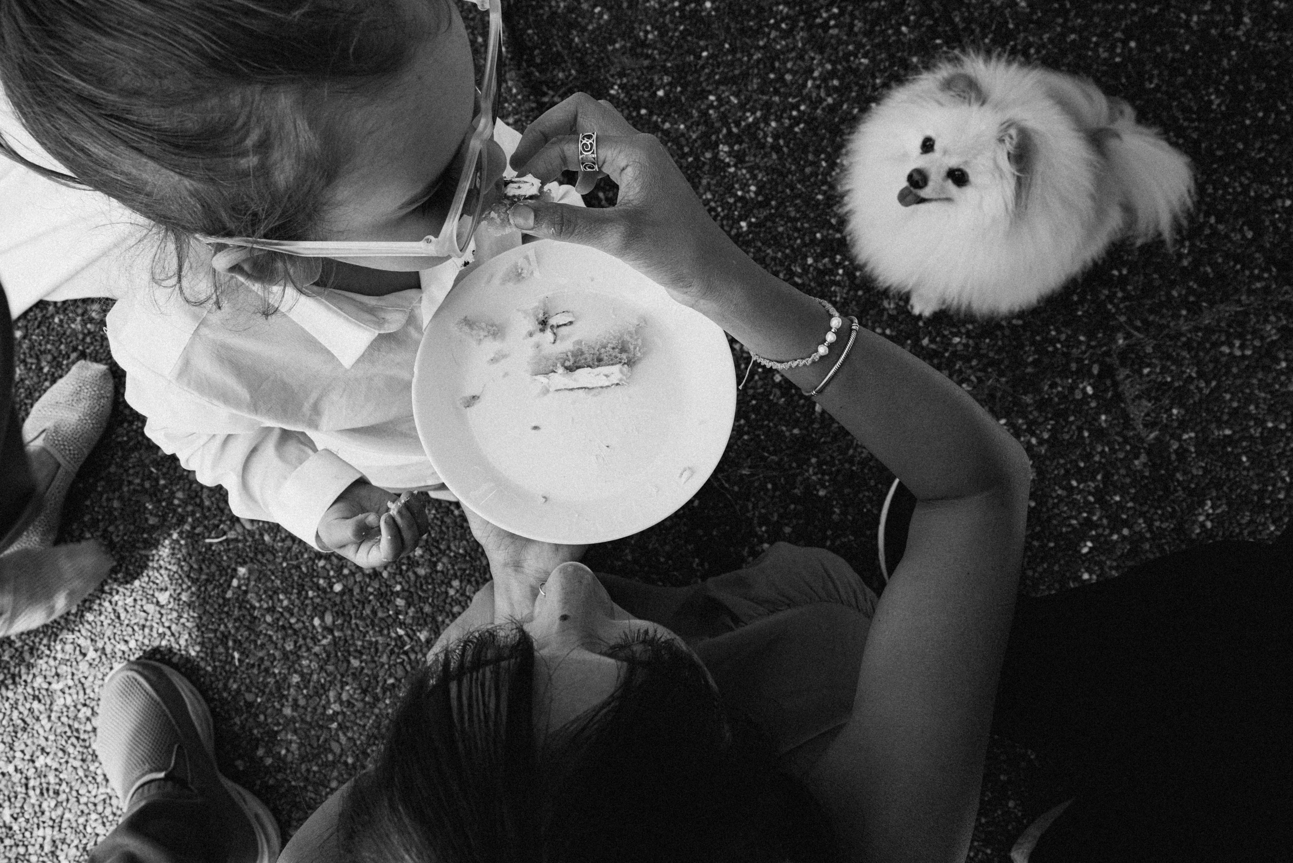 Michael & Caitlyn. Ivan Skufinsky — wedding and family photographer in Vancouver