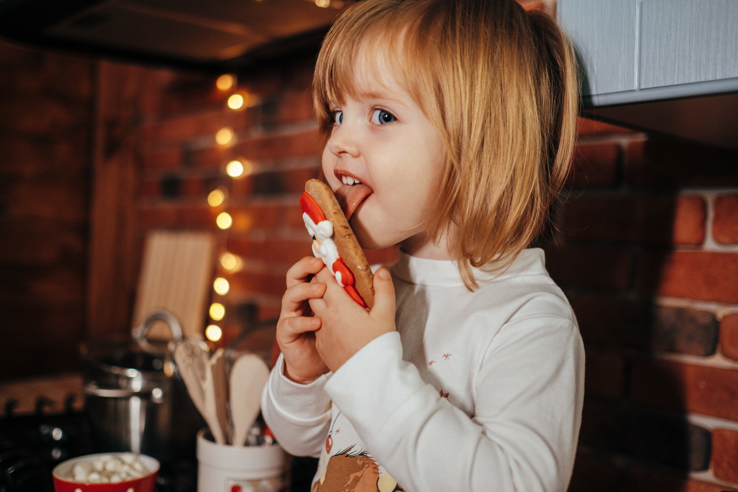 Рождественский переполох). Ivan Skufinsky — wedding and family photographer in Vancouver