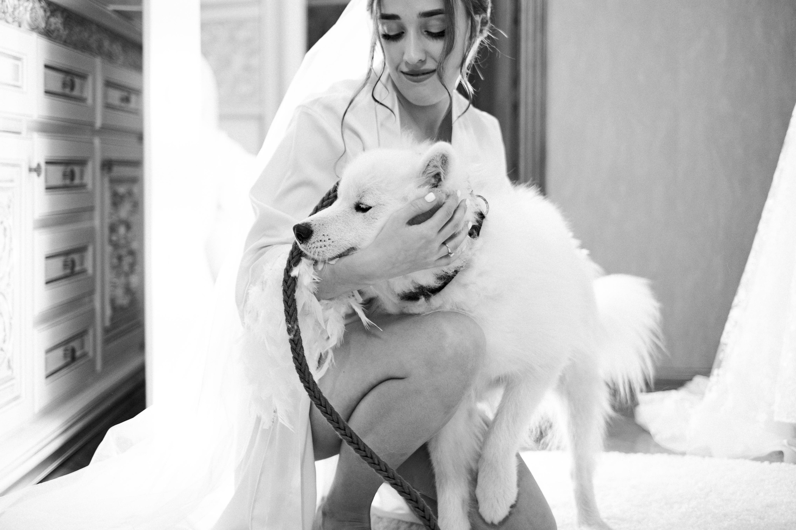 невеста с собачкой