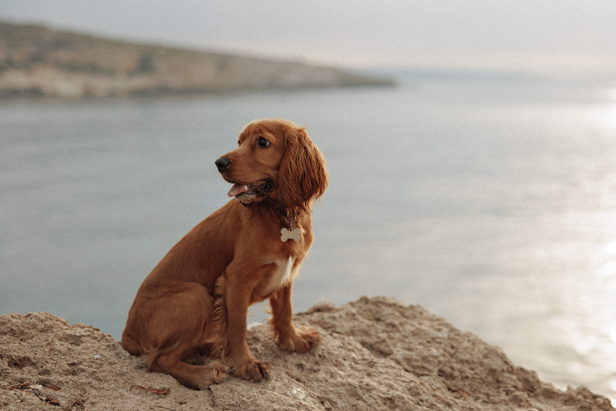 Couples love story photographer photo shoot Vancouver Burnaby Richmond. Ivan Skufinsky — wedding and family photographer in Vancouver