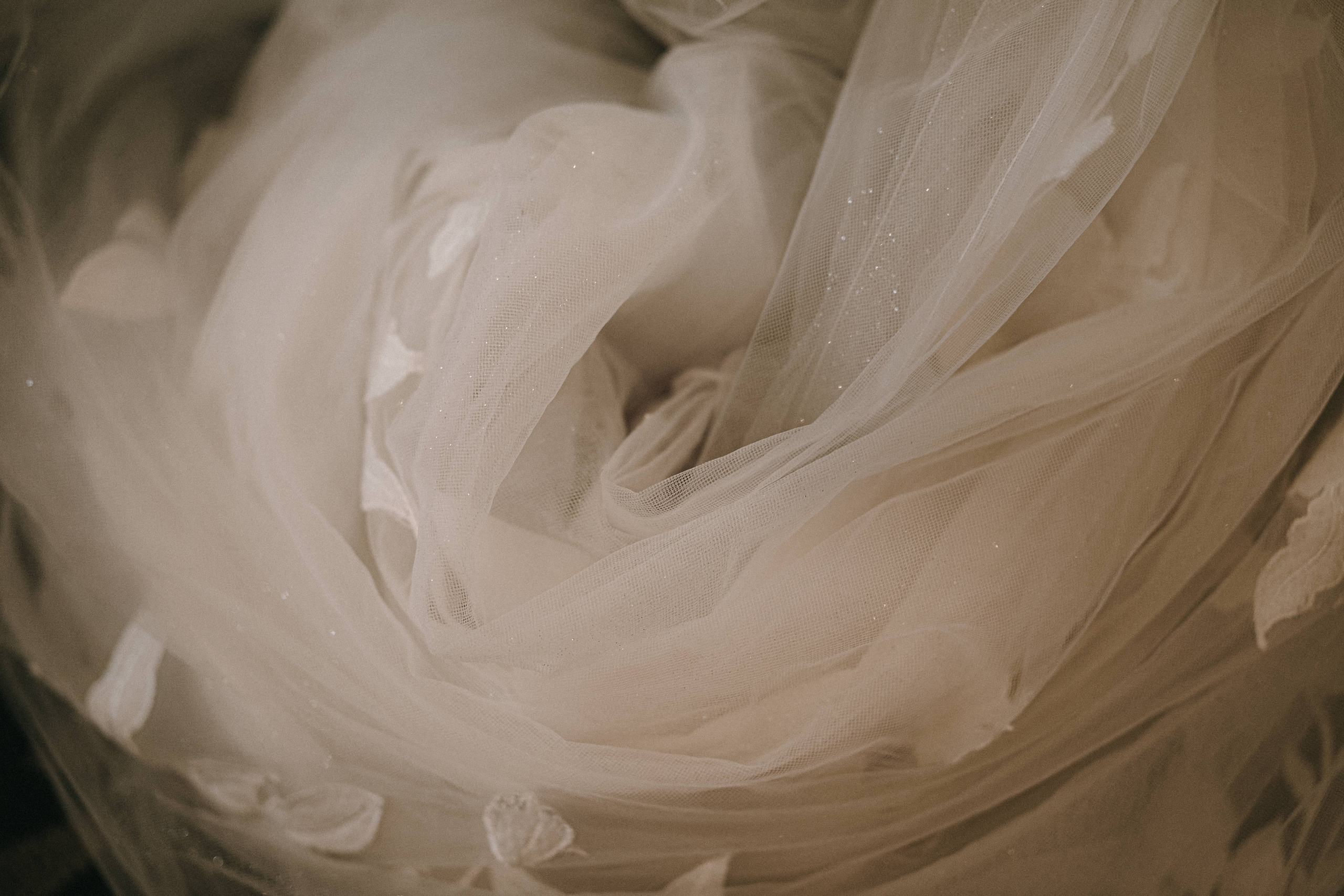 WeddingStory in Vancouver Club. Ivan Skufinsky — wedding and family photographer in Vancouver