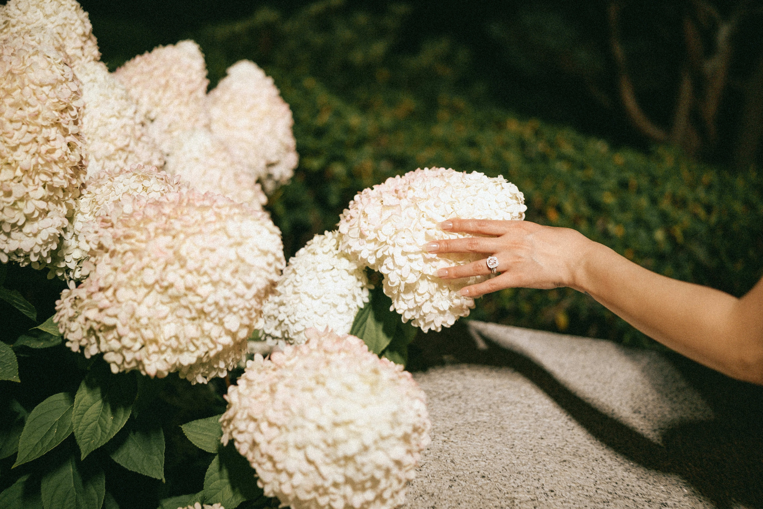 Cecil Green Park House Wedding Photographer & Videographer Vancouver