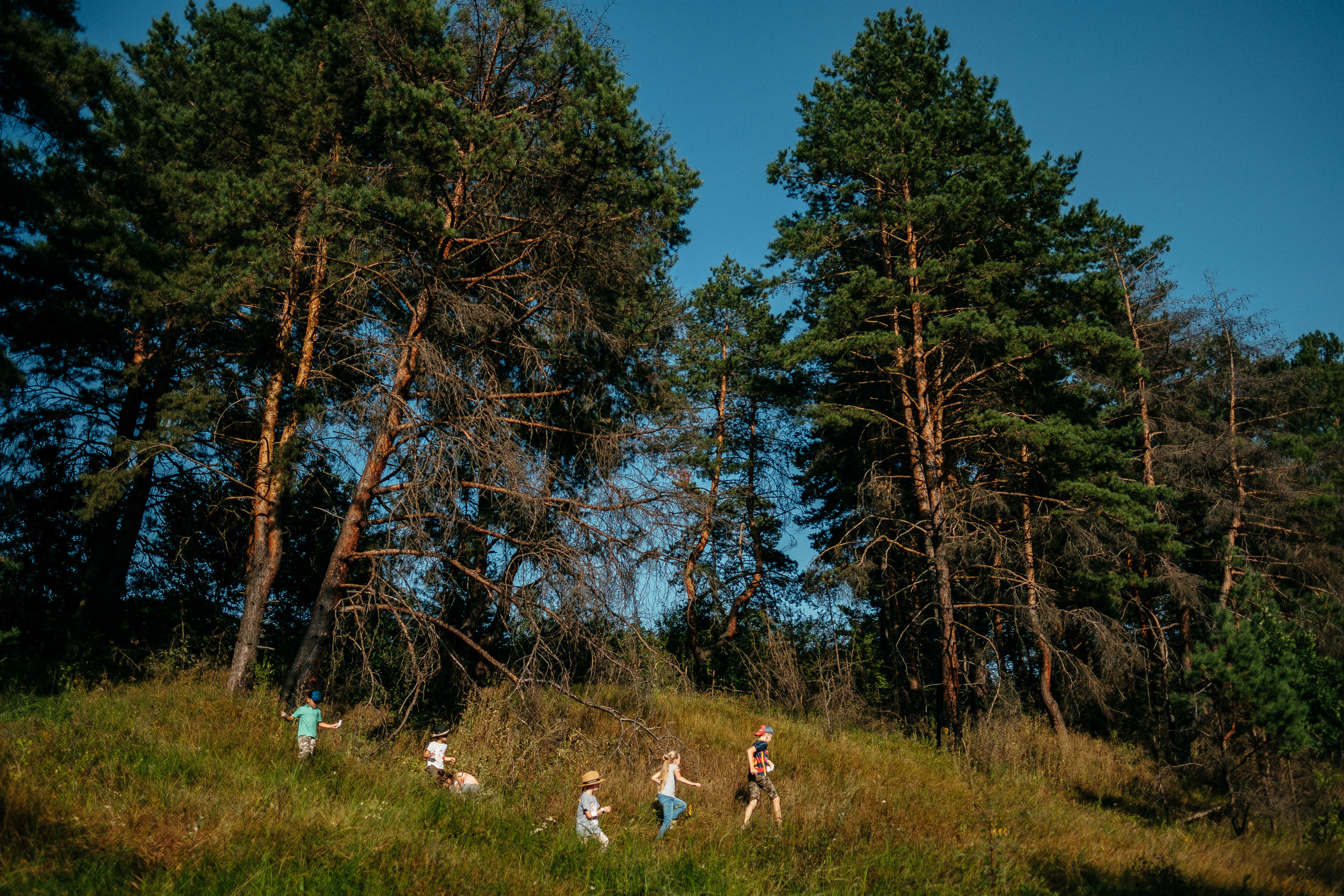 Liza is 7 years old. Ivan Skufinsky — wedding and family photographer in Vancouver