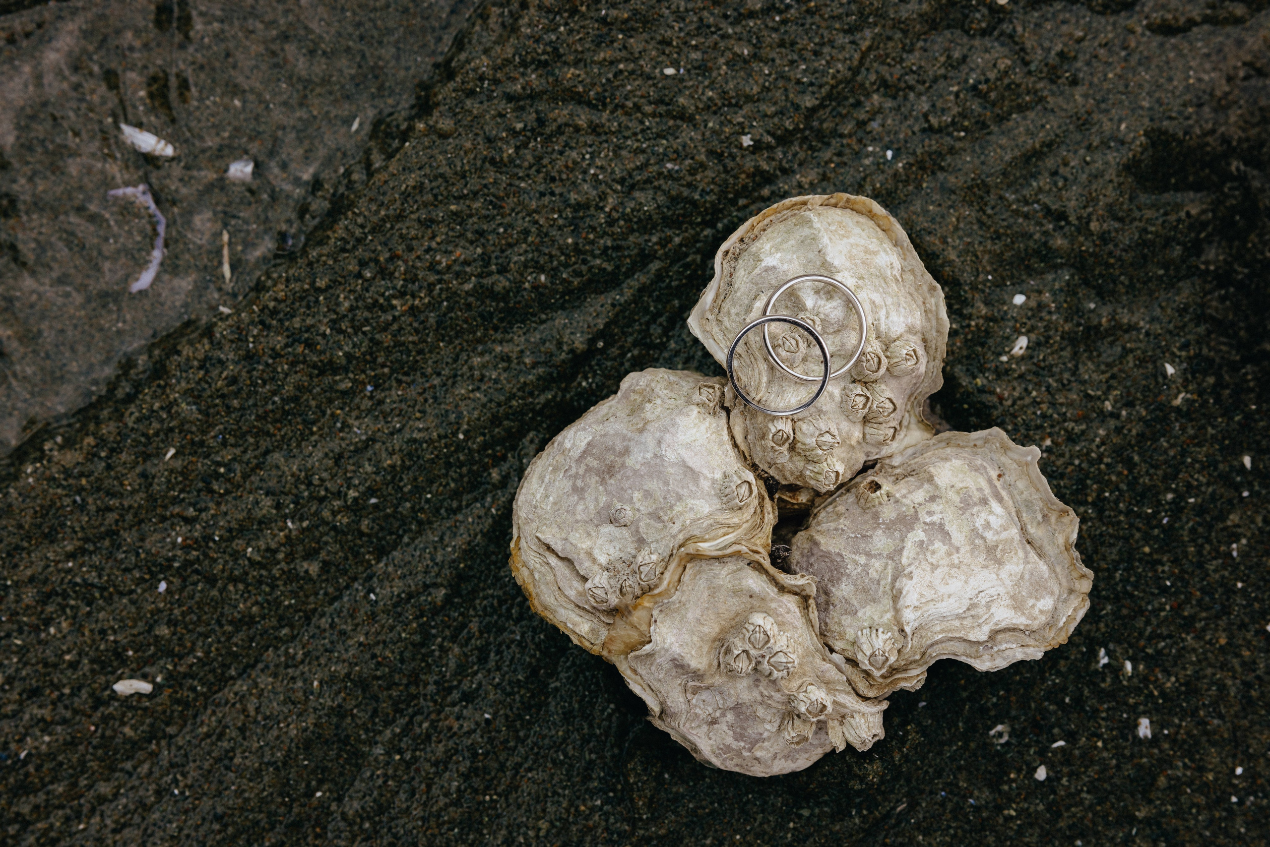 Vancouver love story. Ivan Skufinsky — wedding and family photographer in Vancouver