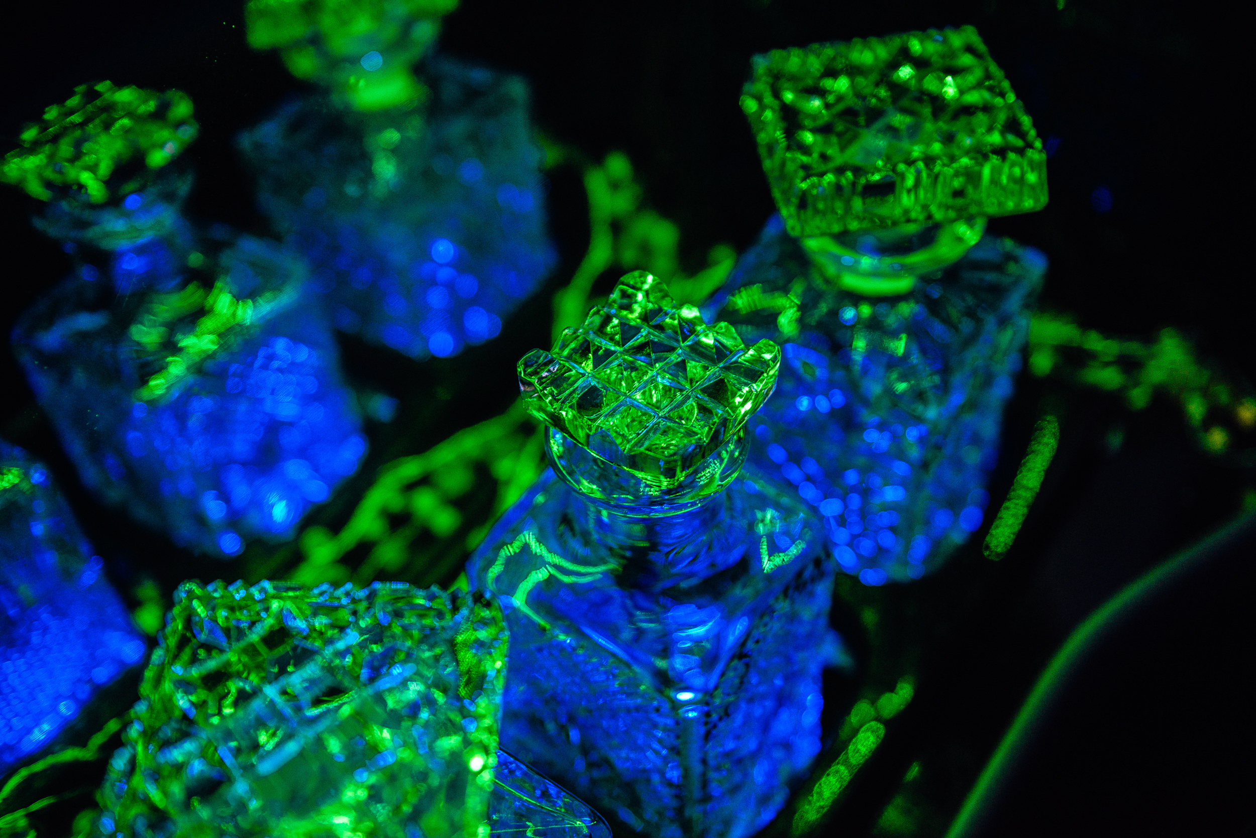 17.11.2018. Ivan Skufinsky — wedding and family photographer in Vancouver