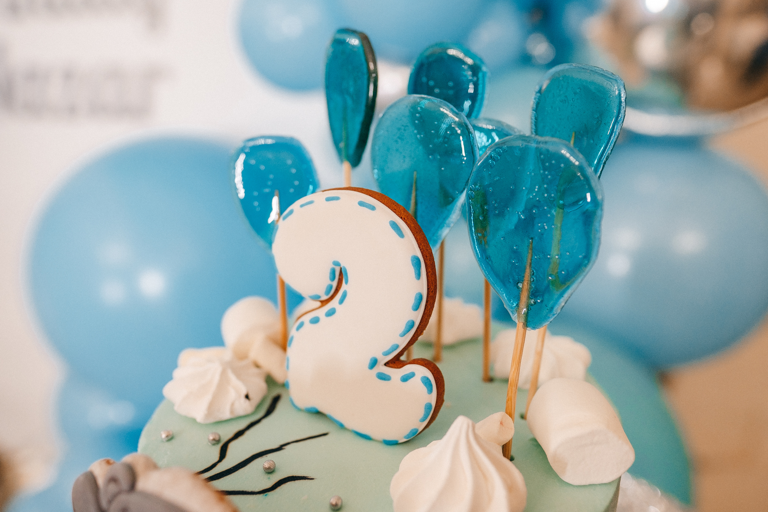 Версаль 30.11.2019. Ivan Skufinsky — wedding and family photographer in Vancouver