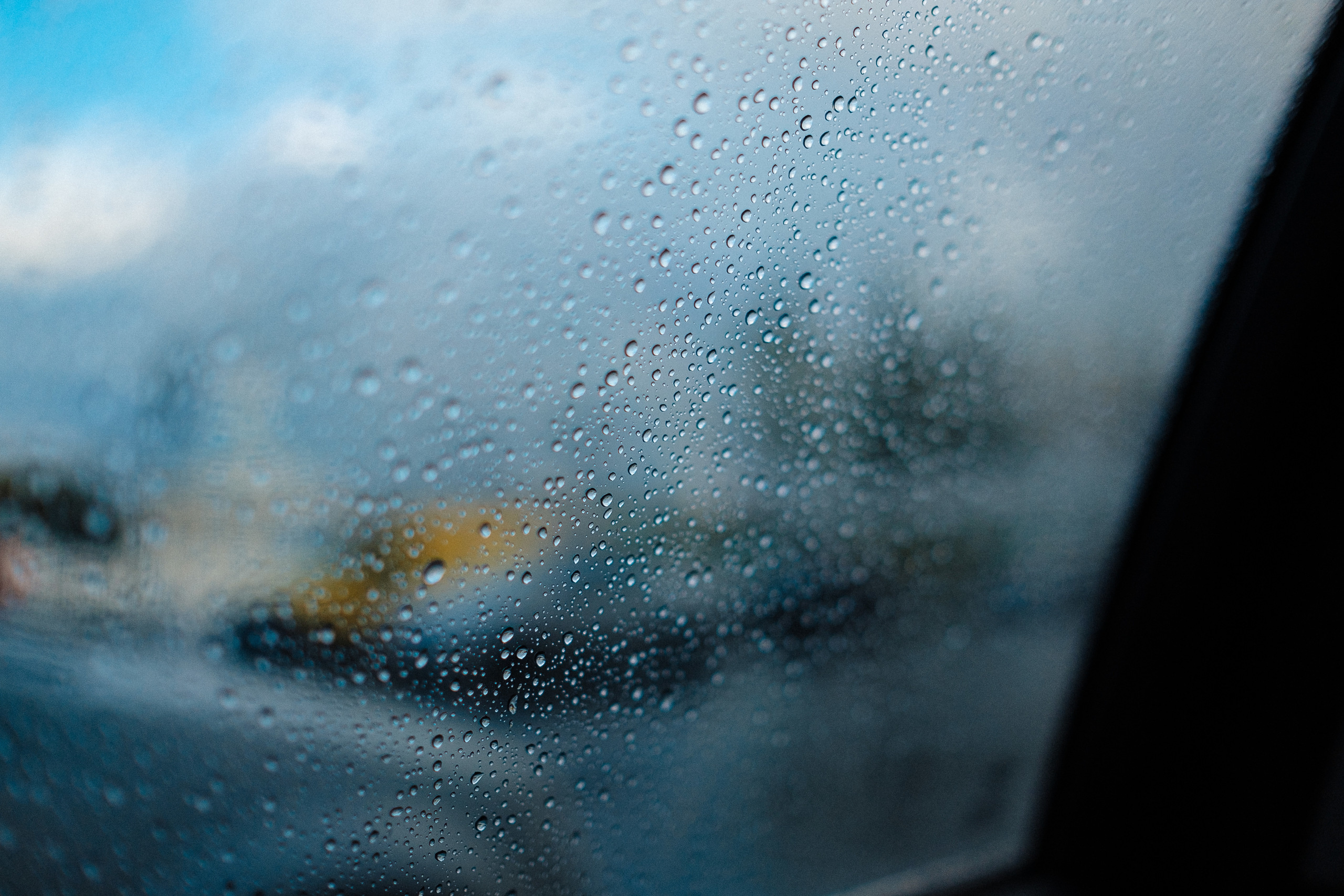 26.10.2018 Дмитрий+Ксения. Ivan Skufinsky — wedding and family photographer in Vancouver