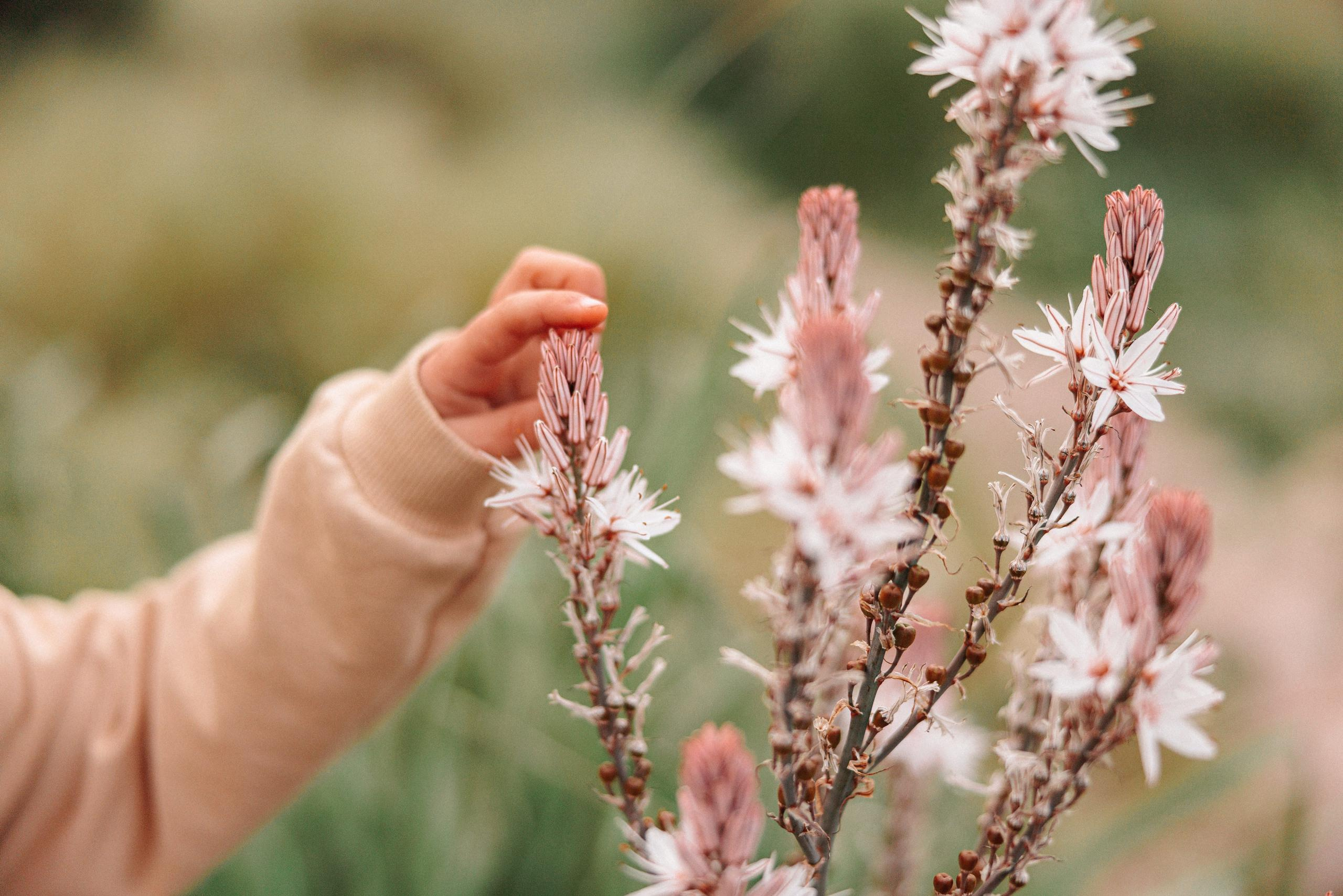 Семейная фотосессия в Ванкувере БС, Family photo session in Vancouver. Ivan Skufinsky — wedding and family photographer in Vancouver