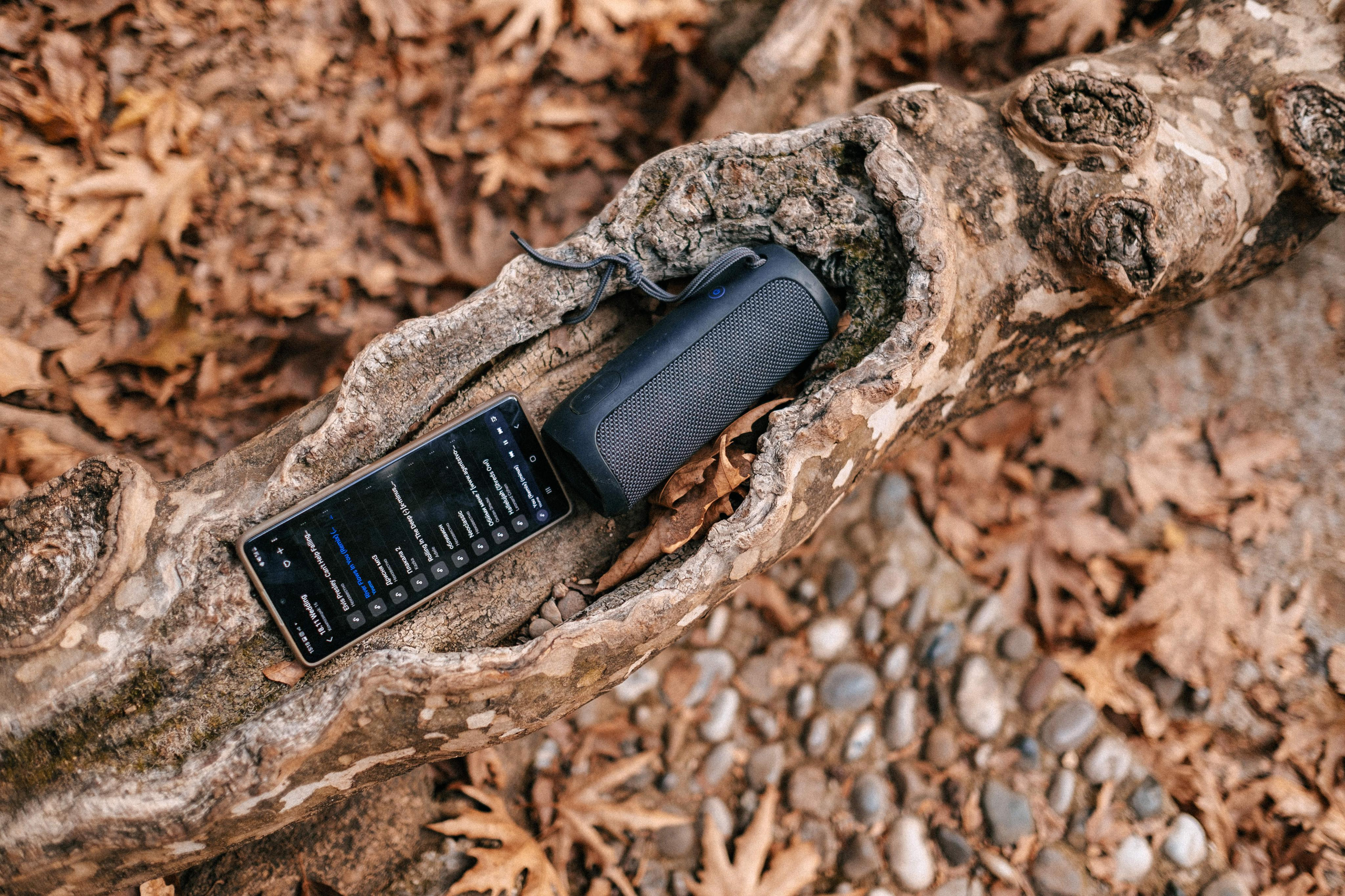 Wedding photographer in Vancouver Весільний фотограф у Ванкувері. Ivan Skufinsky — wedding and family photographer in Vancouver