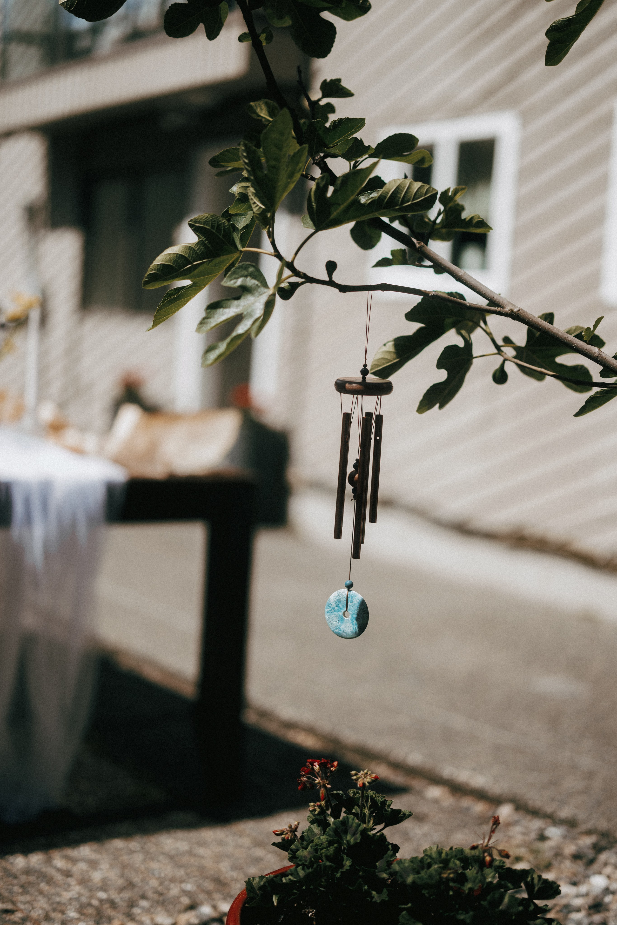 Michael & Caitlyn. Ivan Skufinsky — wedding and family photographer in Vancouver