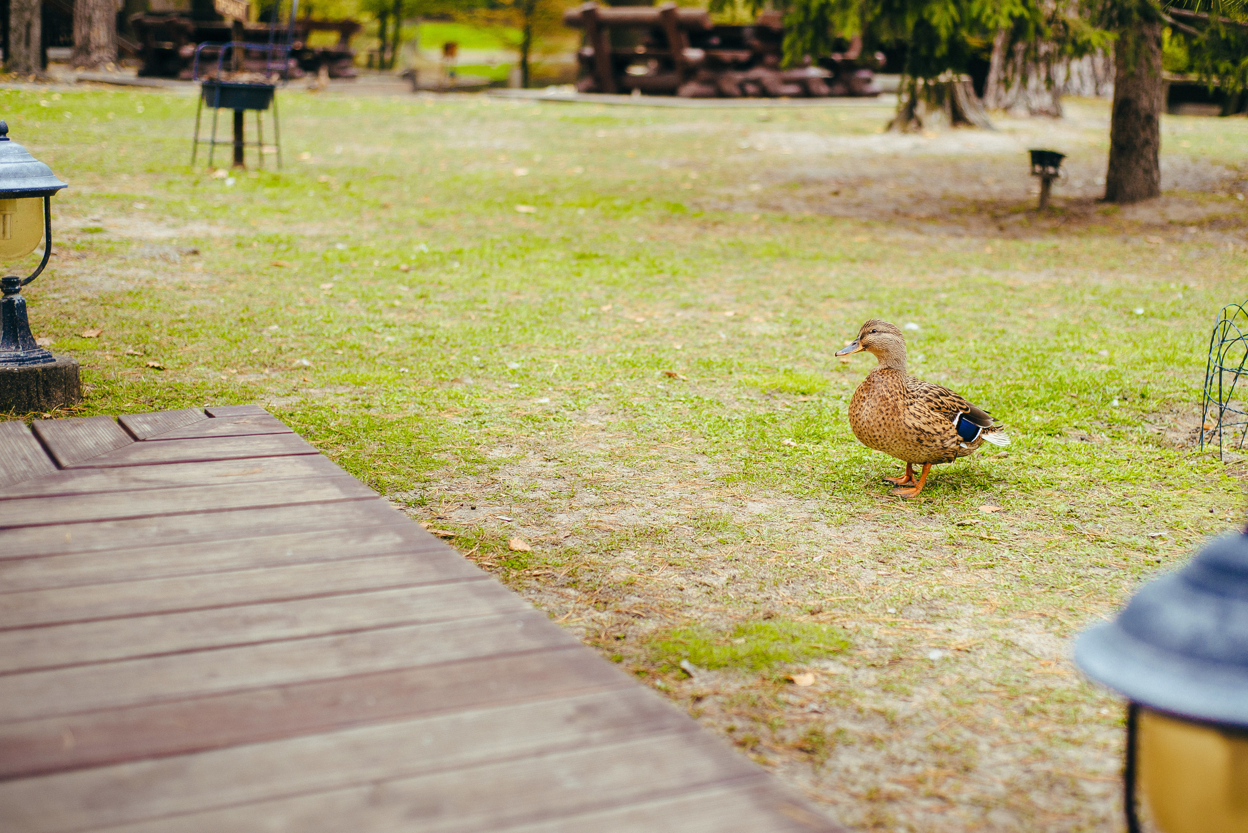 Wedding photoshoots photographer videographer Vancouver BC. Ivan Skufinsky — wedding and family photographer in Vancouver