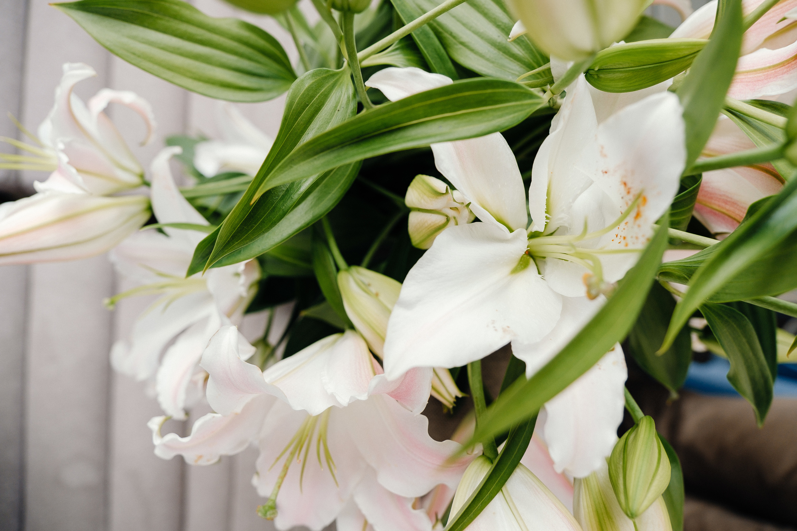 СВАДЬБА 04.07.19 Андрей+Катя. Ivan Skufinsky — wedding and family photographer in Vancouver