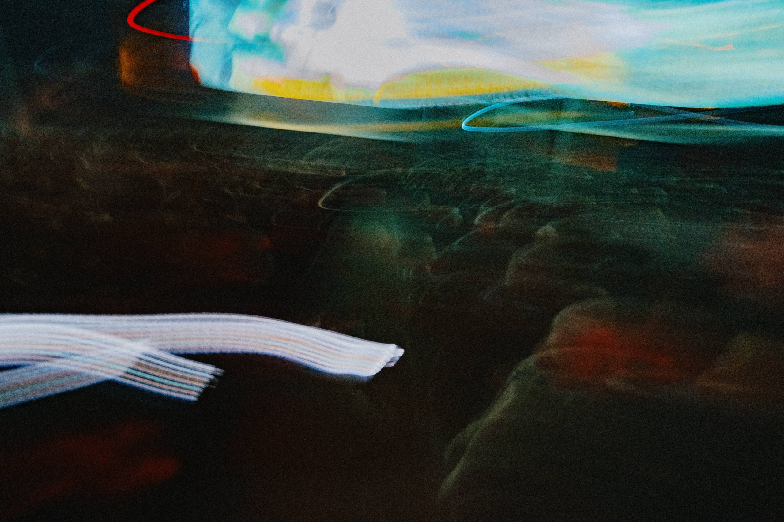 Film Premiere at Rio Theatre, Vancouver — “WAR TAILS”. Ivan Skufinsky — wedding and family photographer in Vancouver