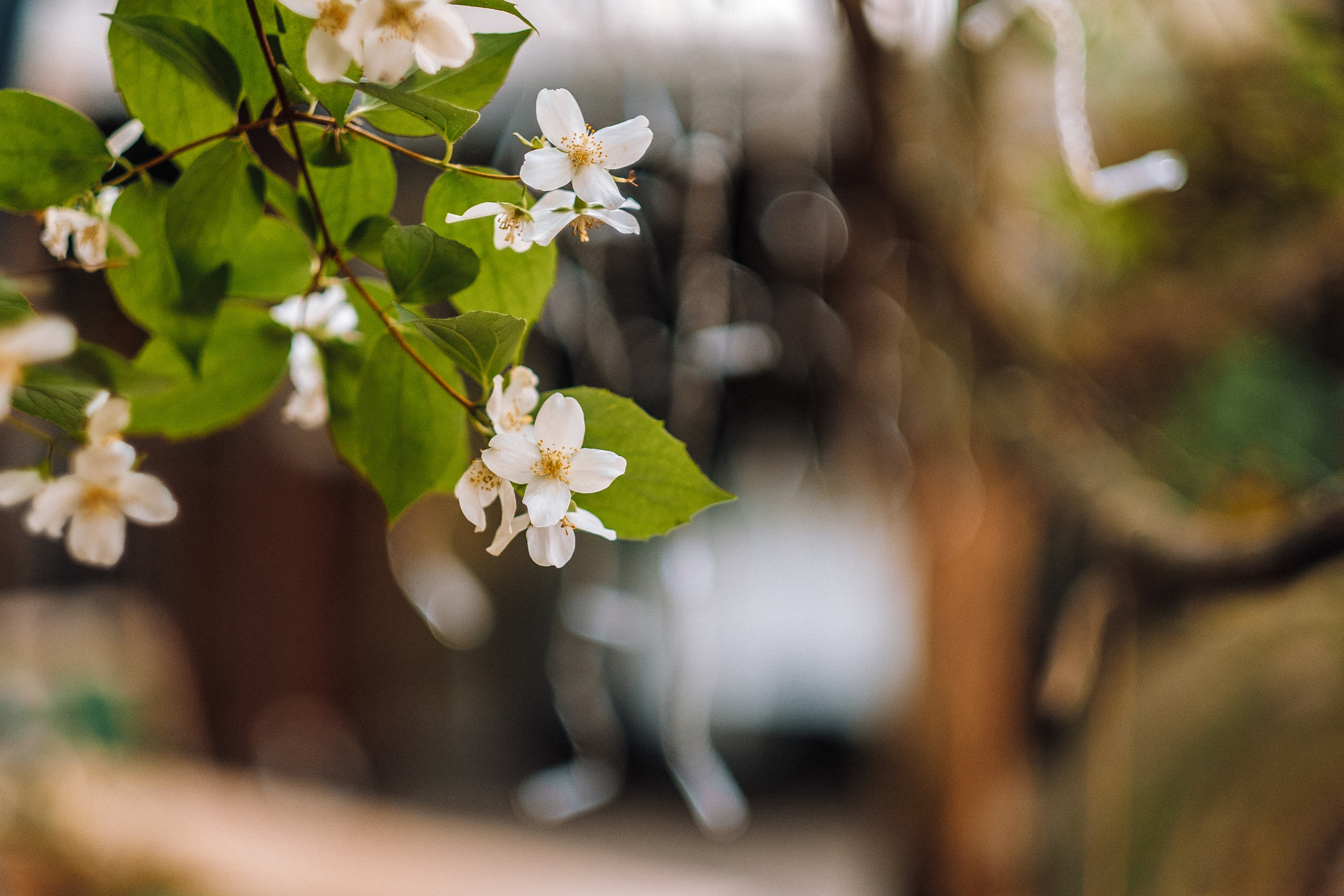 BERLIN Wedding Story. Ivan Skufinsky — wedding and family photographer in Vancouver